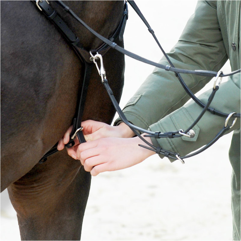 Vorderzeug EVERYDAY Leder geölt schwarz/braun