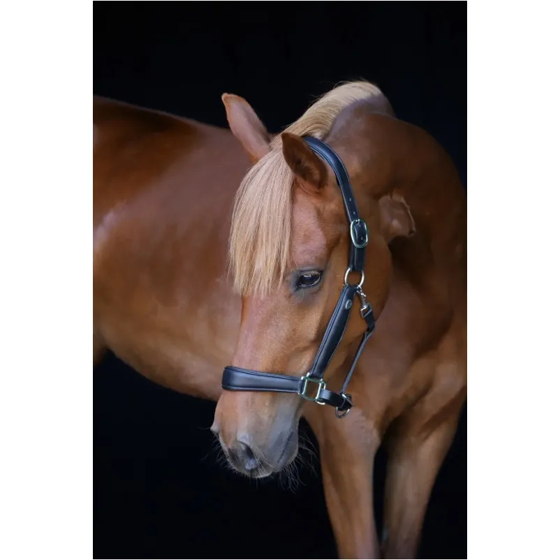 Halfter Soft COMFORT Leder schwarz