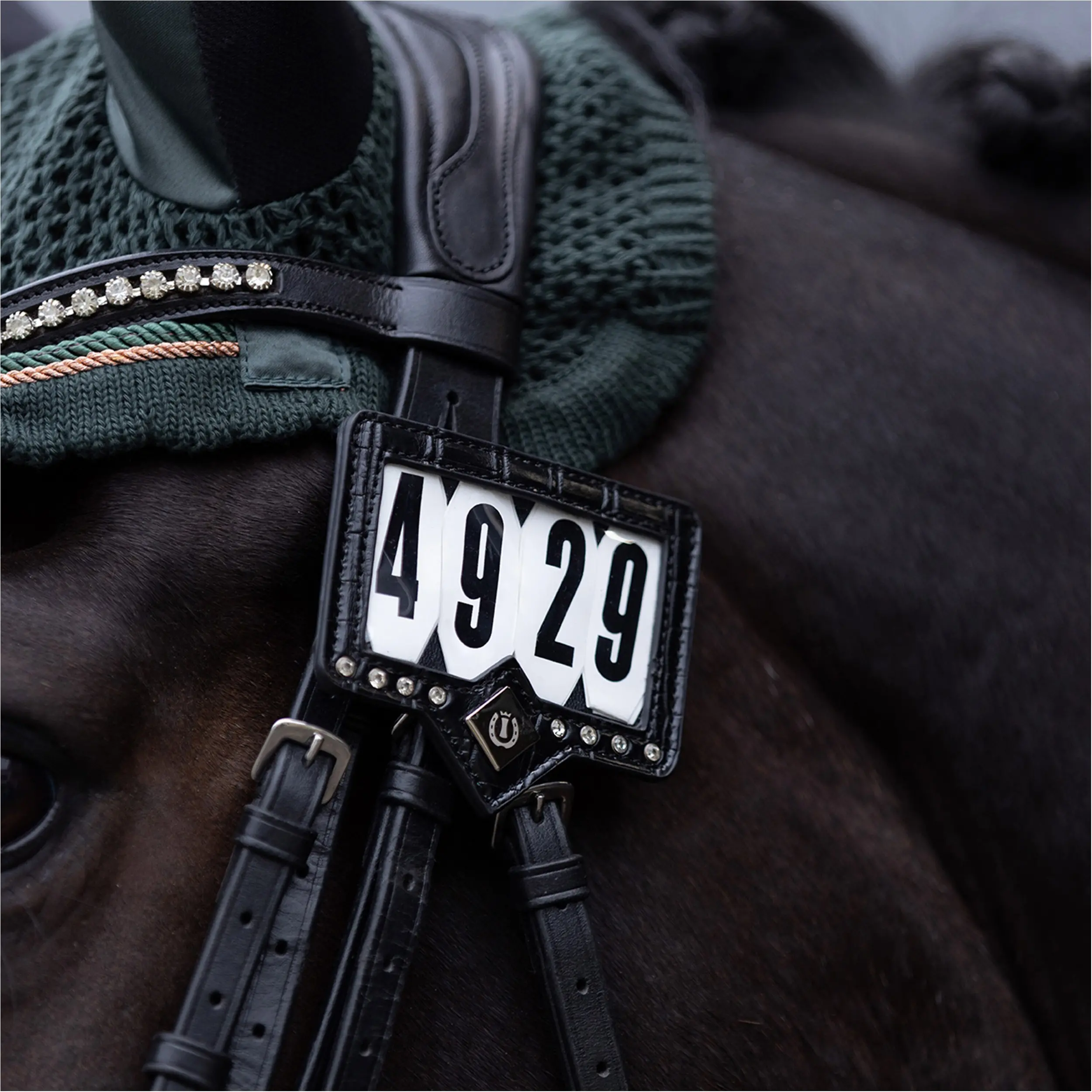 Turniernummern IRHShow and Glow schwarz/schwarz croco Turniernummern IRHShow and Glow schwarz/schwarz croco