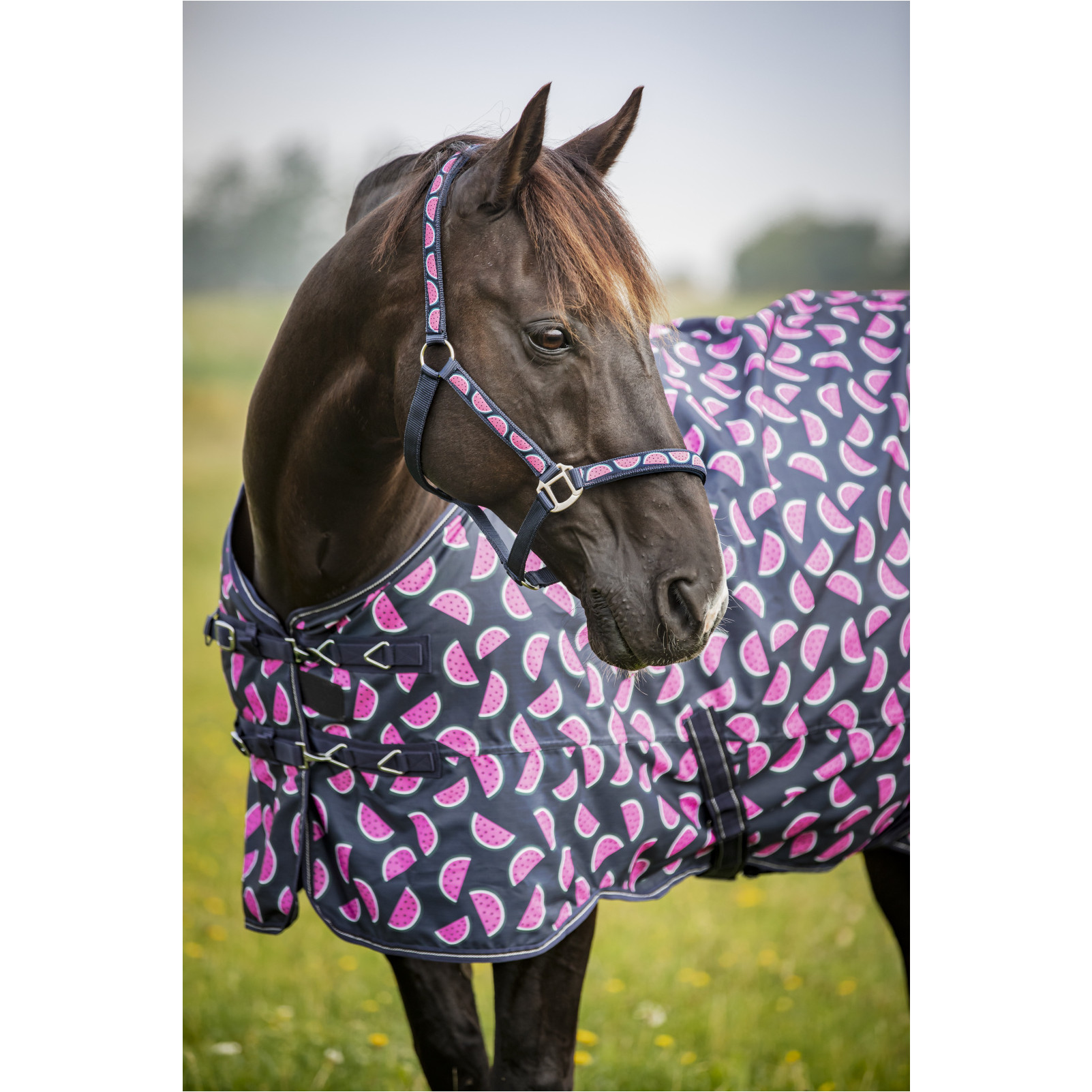 Turnoutdecke 600D MELON navy