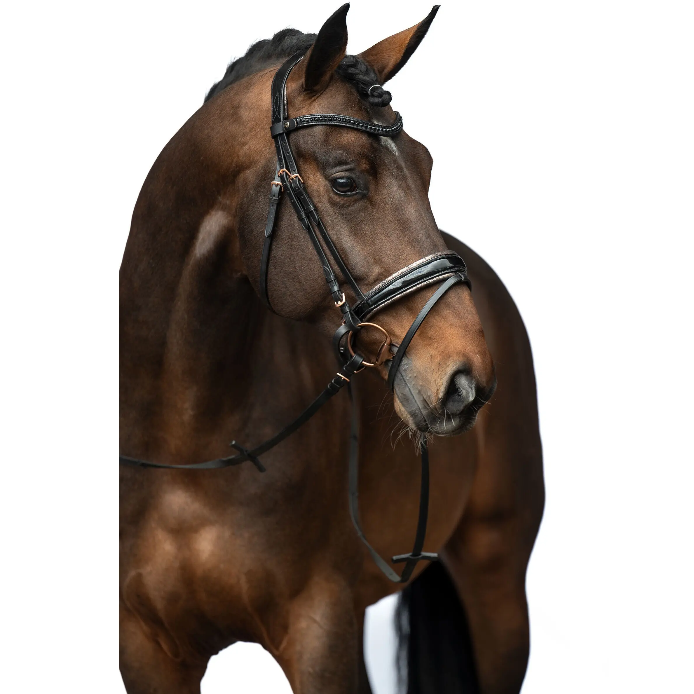 Trensenzaum SOFIA schwarz/rosegold Trensenzaum SOFIA schwarz/rosegold