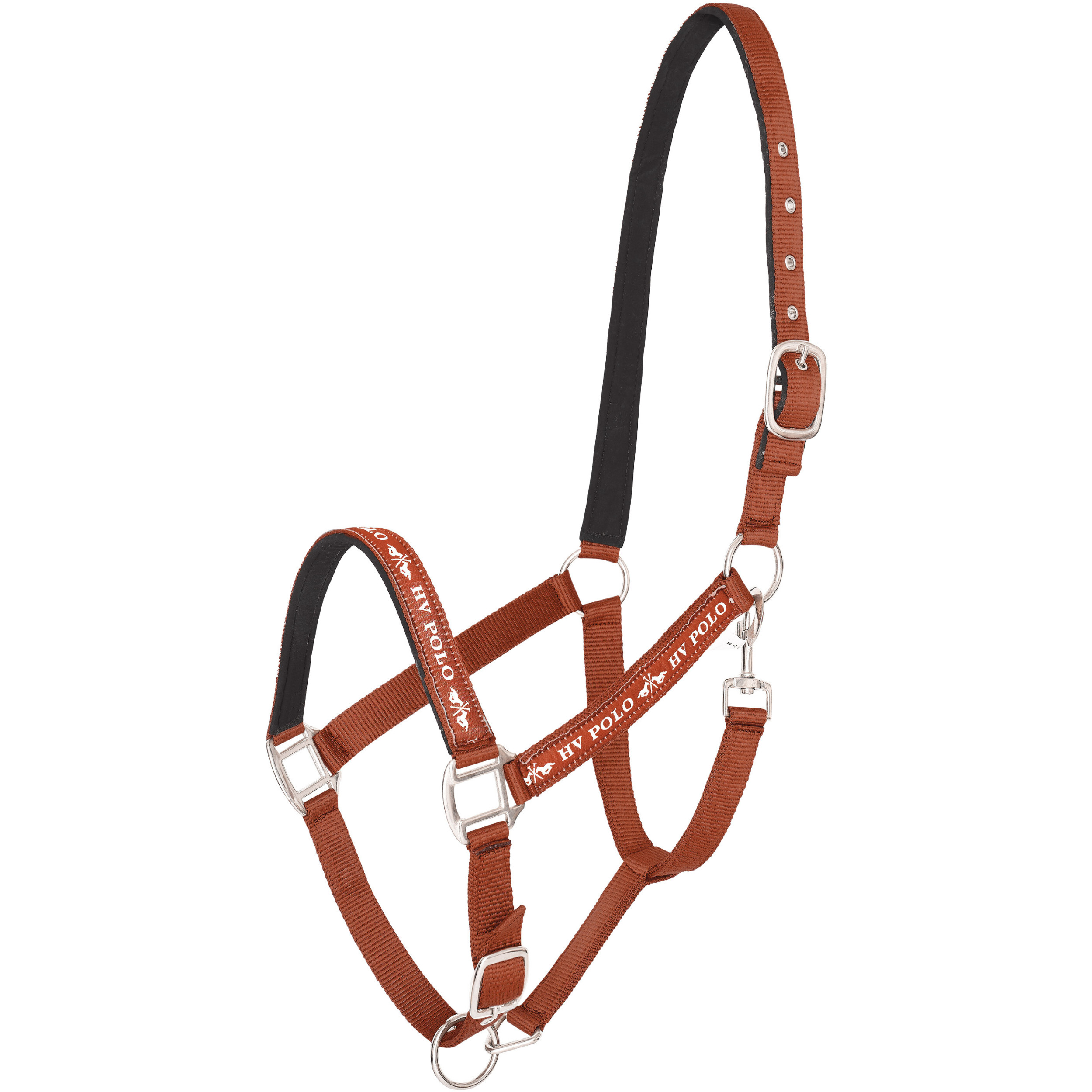 Halfter HVPNena pumpkin