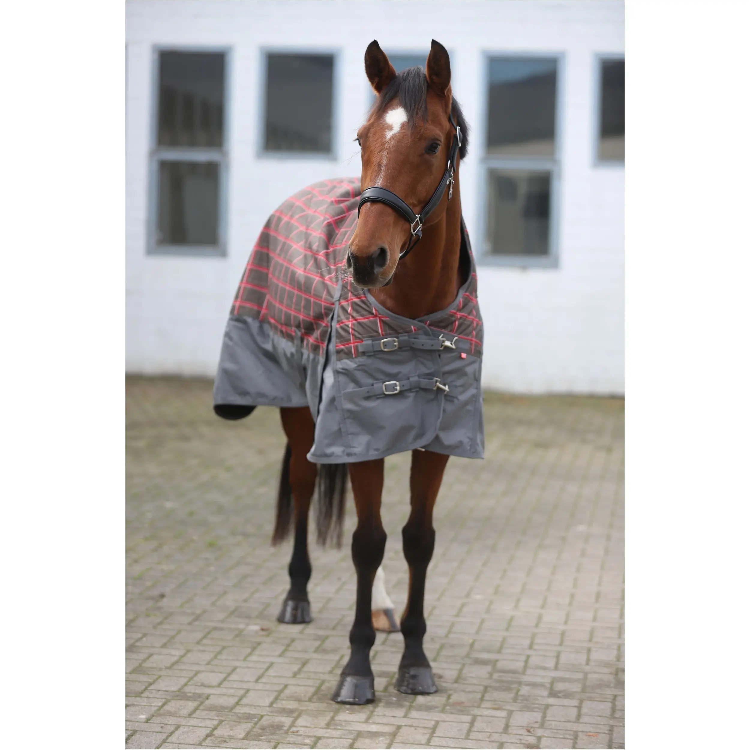Outdoordecke High Neck 200g Füllung 600D IRHCustomized grey check/grey