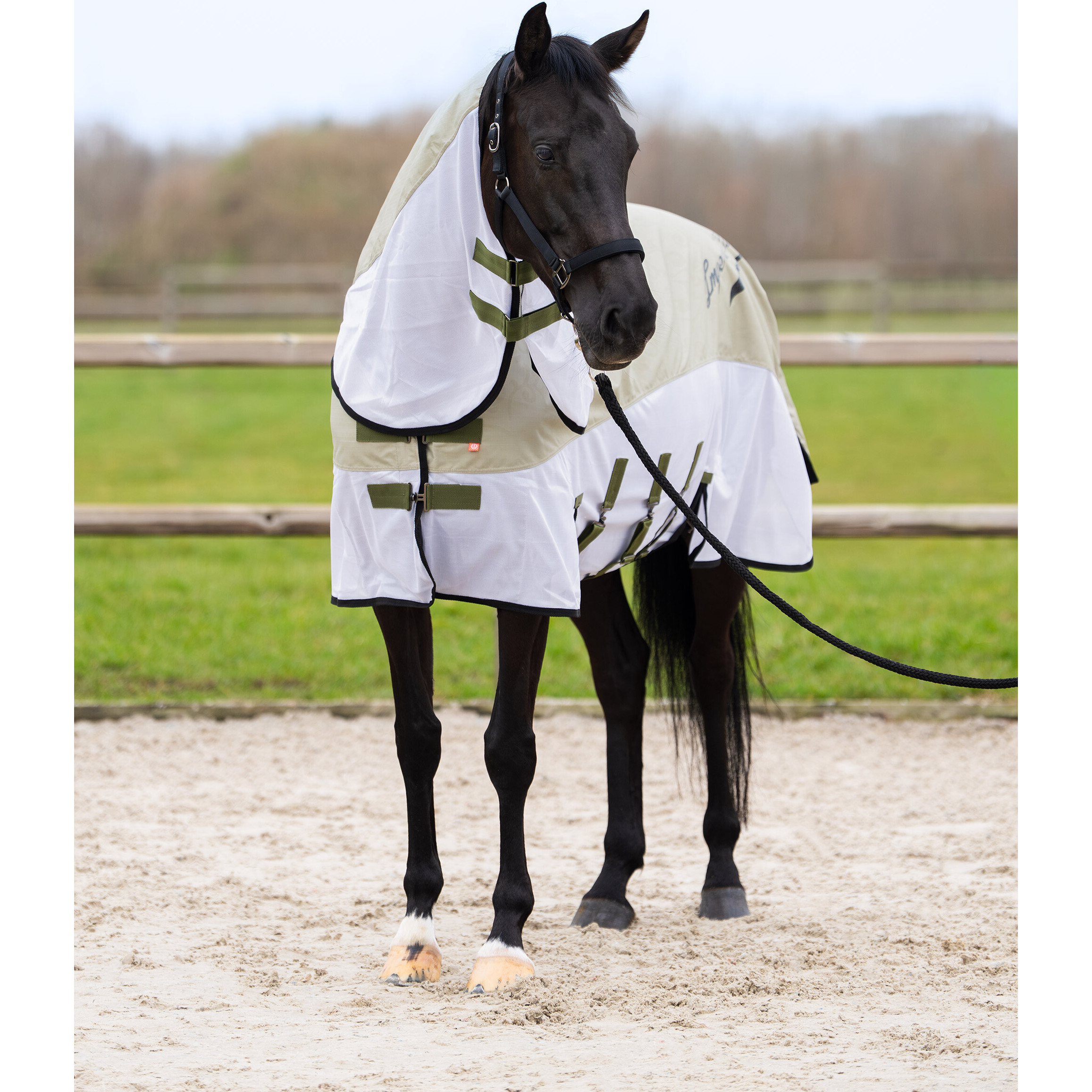 Halsteil Regen- & Fliegendecke 600D IRHSuper-dry light olive