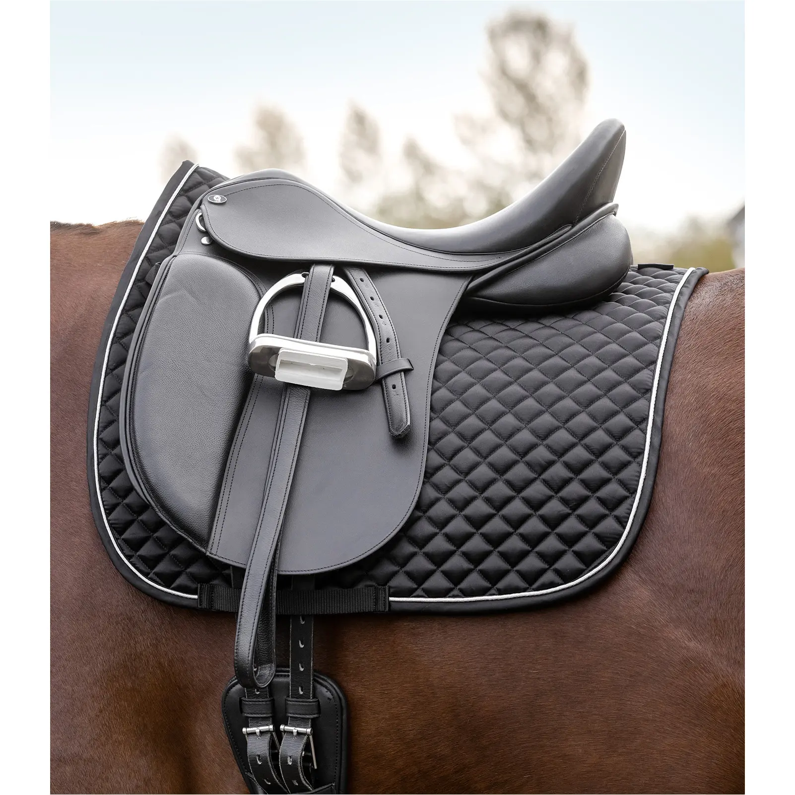 Schabracke FELIX GLAM schwarz