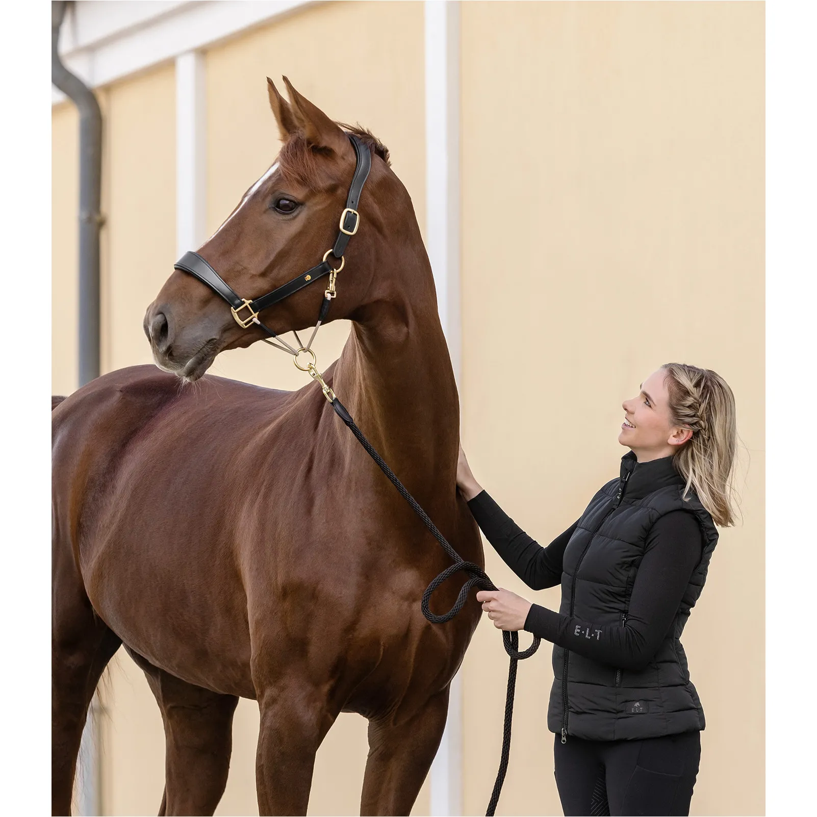 Lederhalfter S-Line ROYAL schwarz