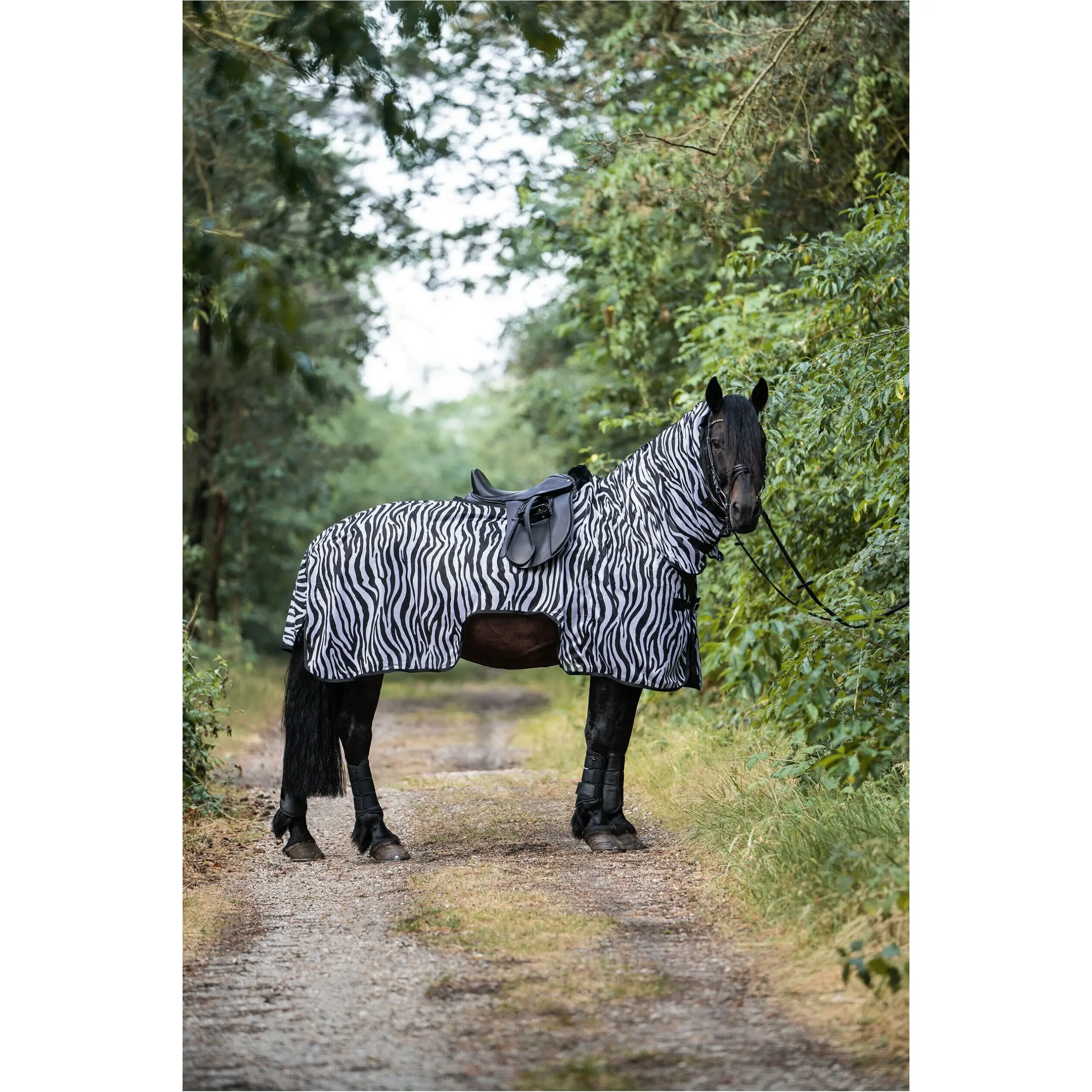 Fliegenausreitdecke mit Halsteil ZEBRA weiß/schwarz