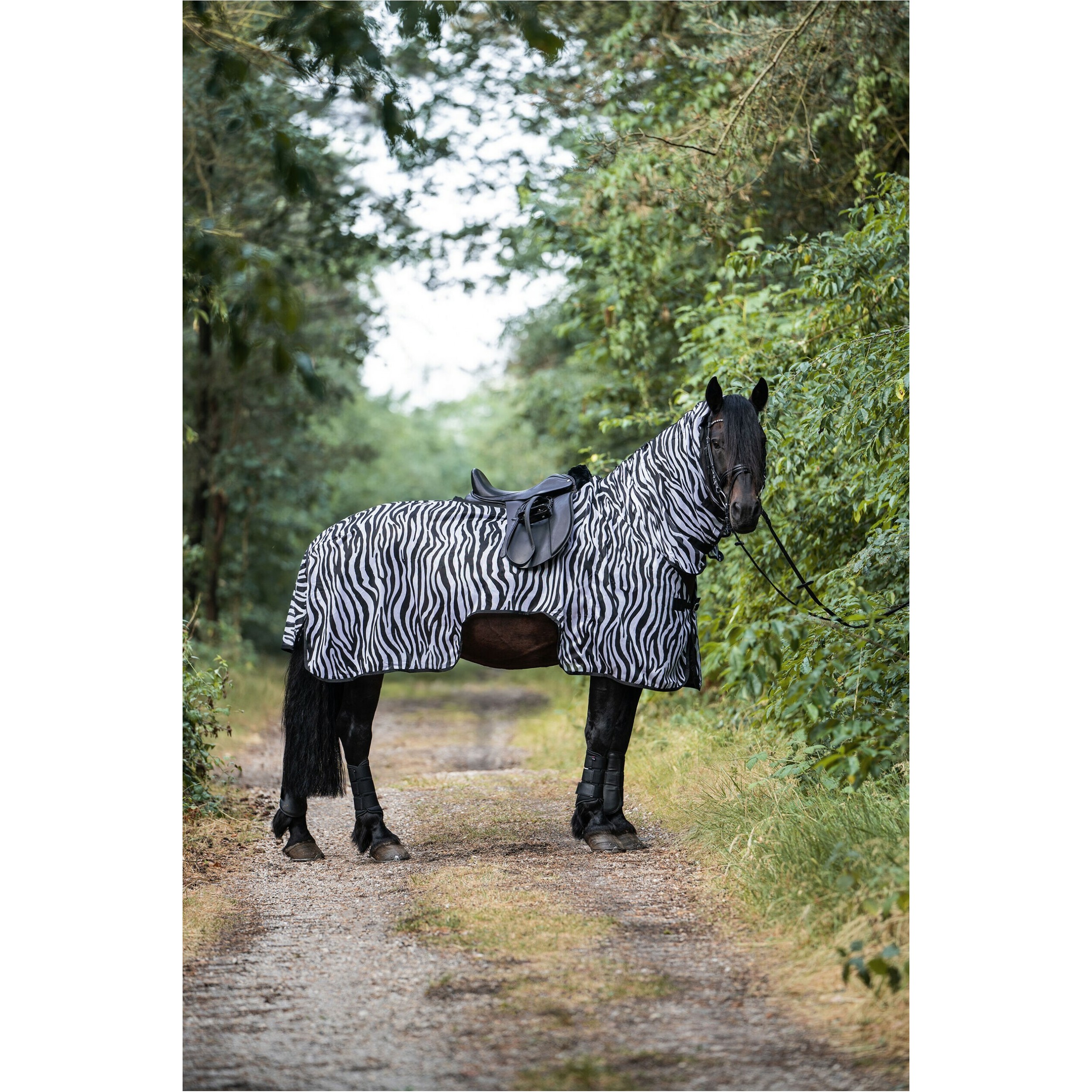 Fliegenausreitdecke mit Halsteil ZEBRA weiß/schwarz