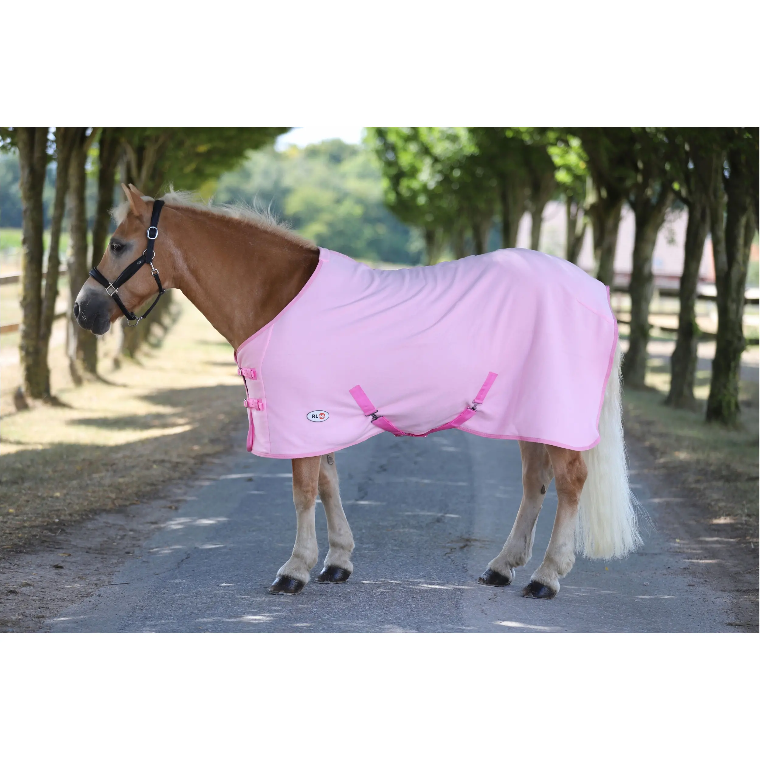 Abschwitzdecke mit Kreuzgurt BASICLINE rosa Abschwitzdecke mit Kreuzgurt BASICLINE rosa