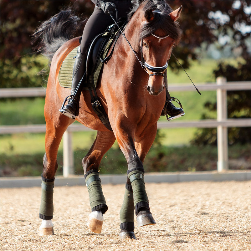 Bandagenunterlagen (2er Set) KLIMATEX schwarz Bandagenunterlagen (2er Set) KLIMATEX schwarz