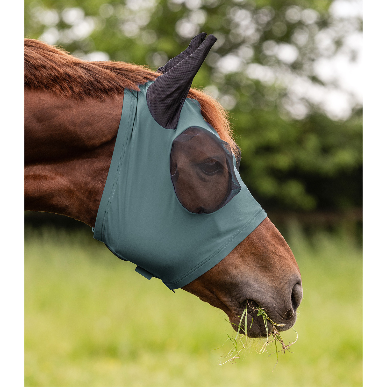 Fliegenmaske mit Reißverschluss PUCK piniengrün Fliegenmaske mit Reißverschluss PUCK piniengrün