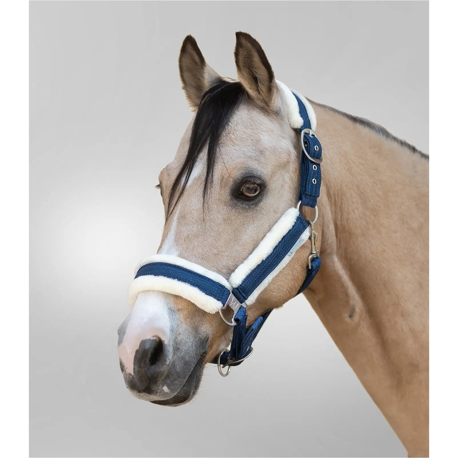 Halfter SPARKLE nachtblau