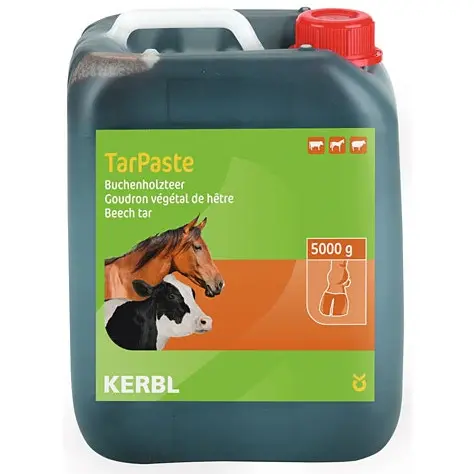 Buchenholzteer TarPaste flüssig