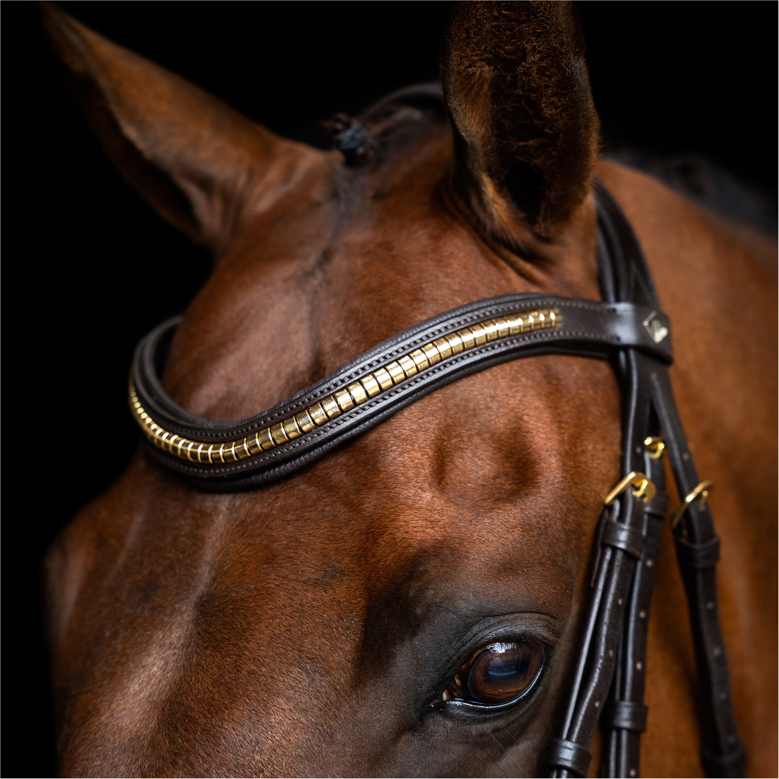 Mexikanisches Zaumzeug IRH dunkelbraun