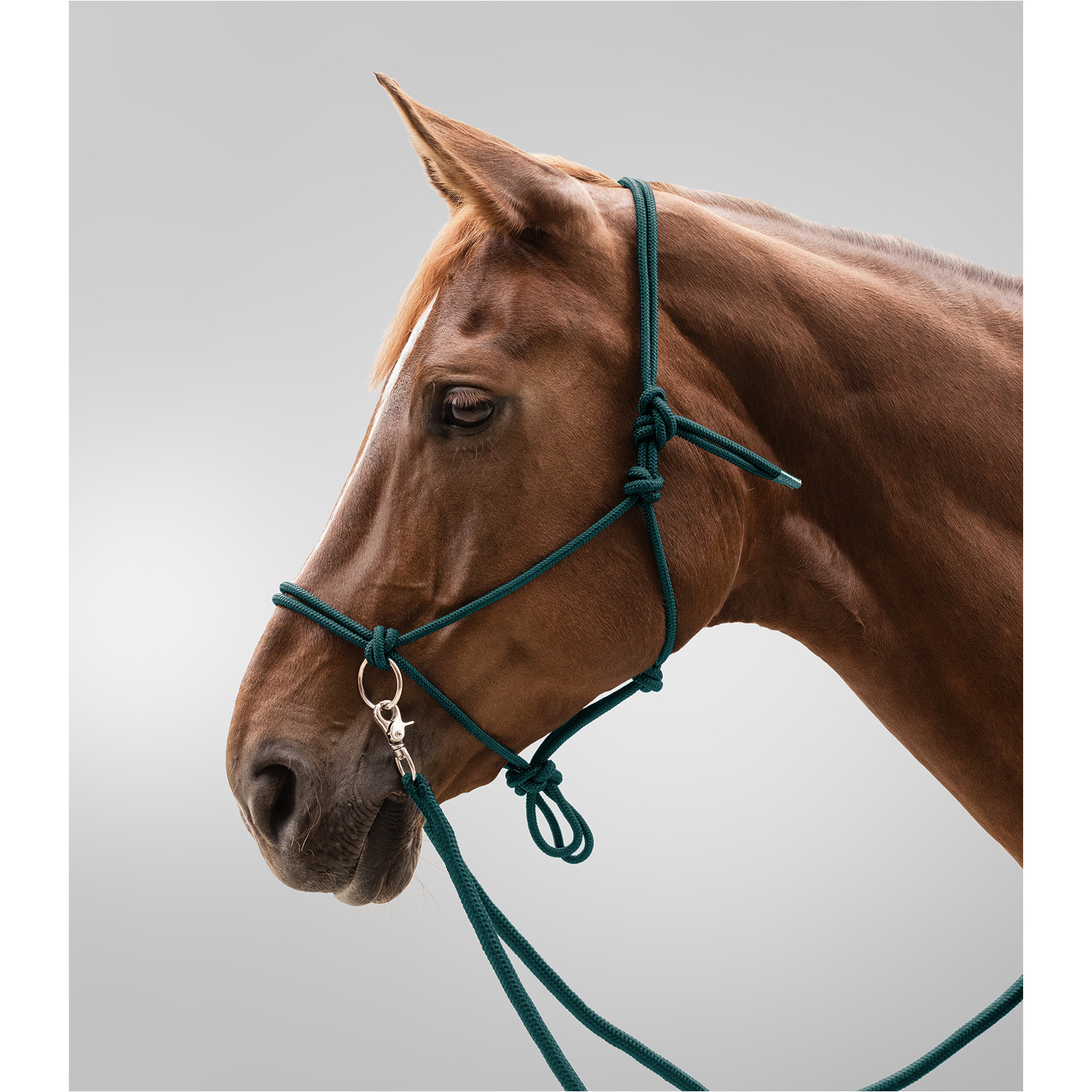 Knotenhalfter mit Zügel tannengrün