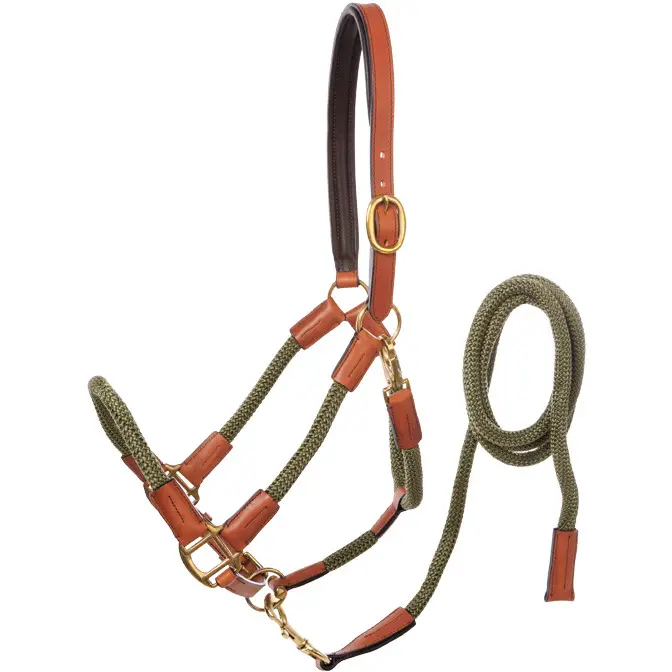 cognac/khaki grün