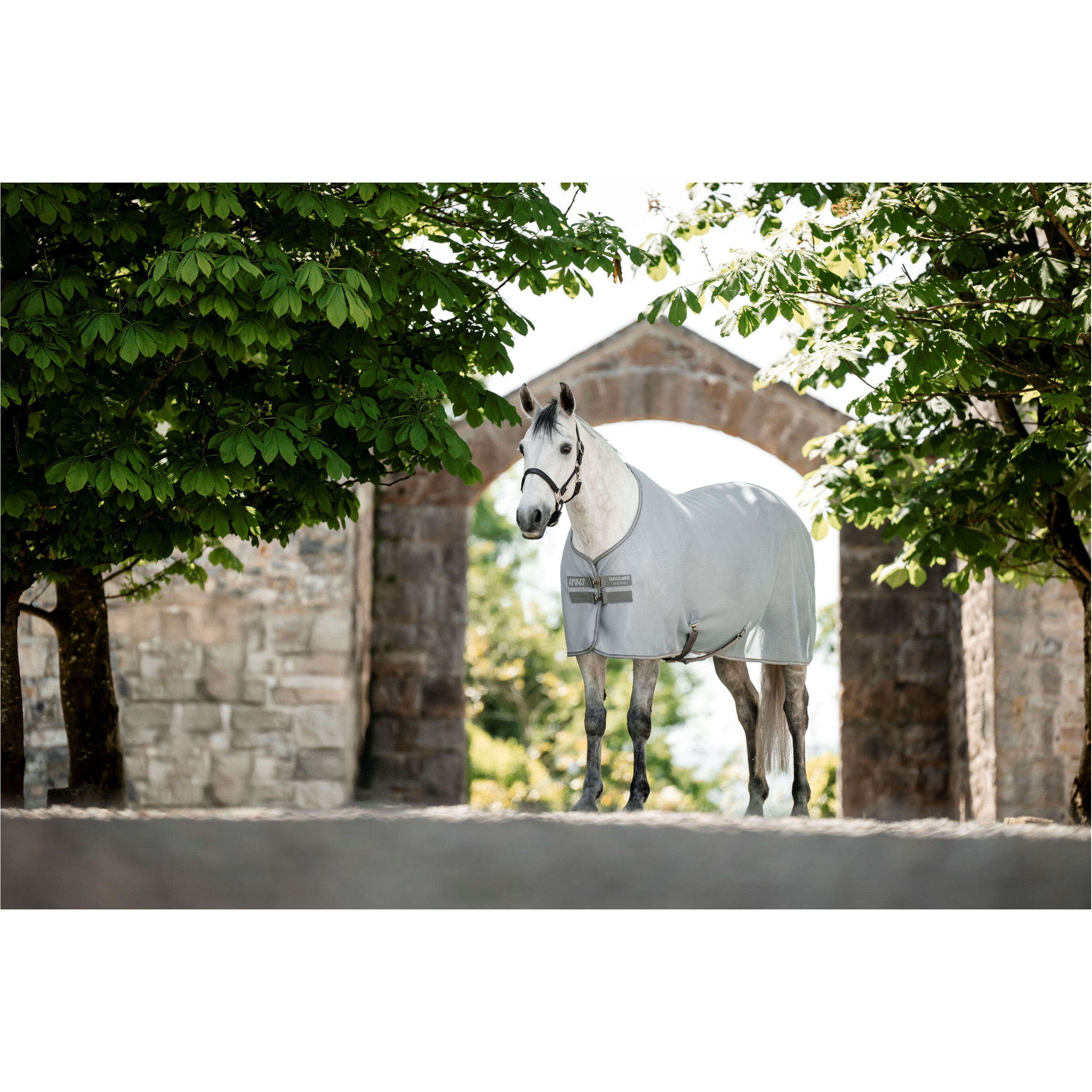 Abschwitz- und Fliegendecke AMIGO AirNet Cooler heather blue/titanium grey/silver