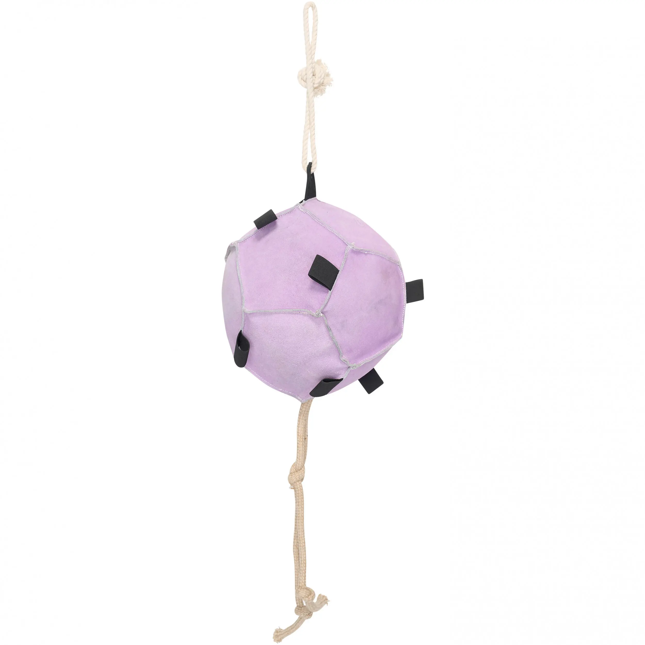 Pferdespielball IRHVolley up ballerina