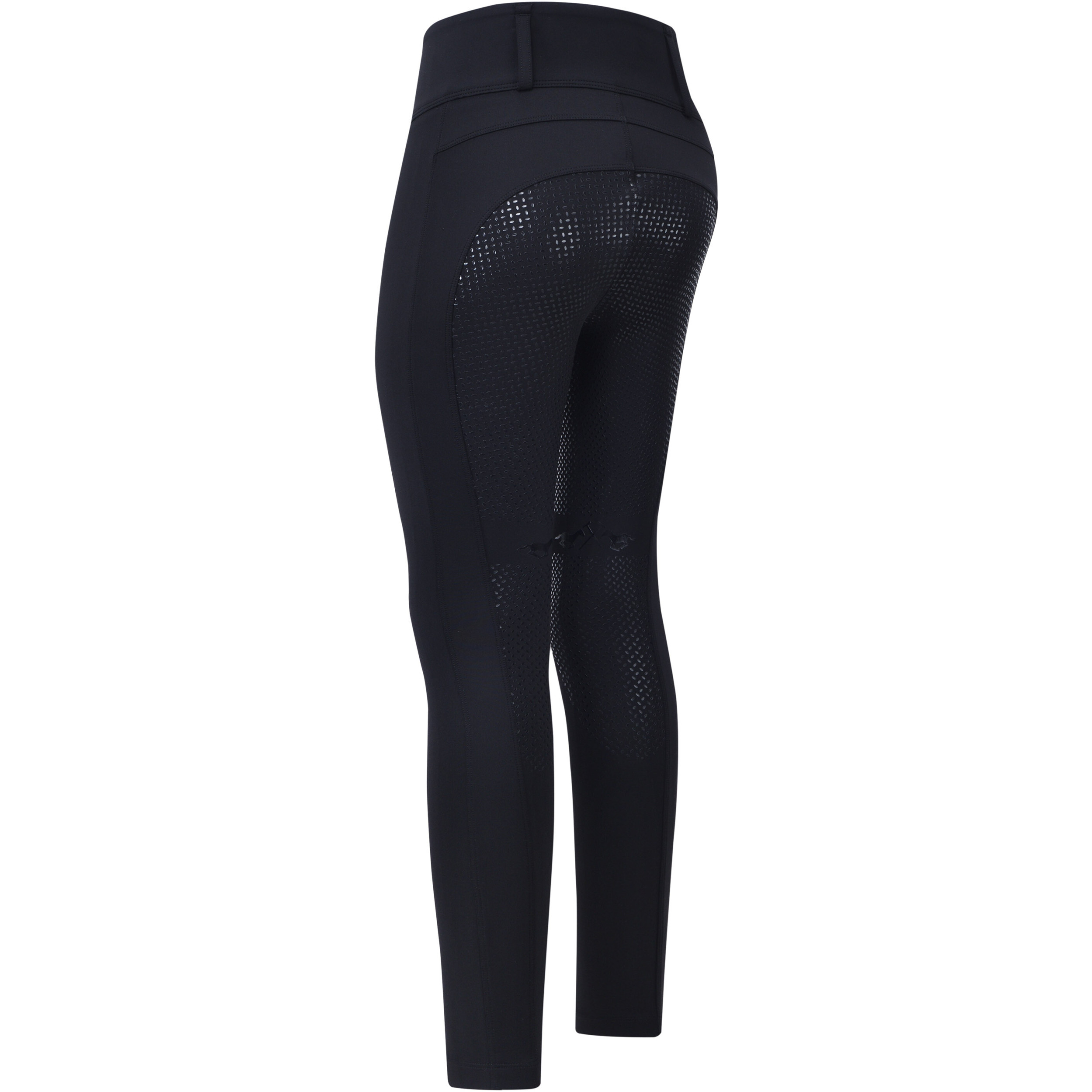 Damen Reitleggings Silikon Vollbesatz HVPManou schwarz Damen Reitleggings Silikon Vollbesatz HVPManou schwarz