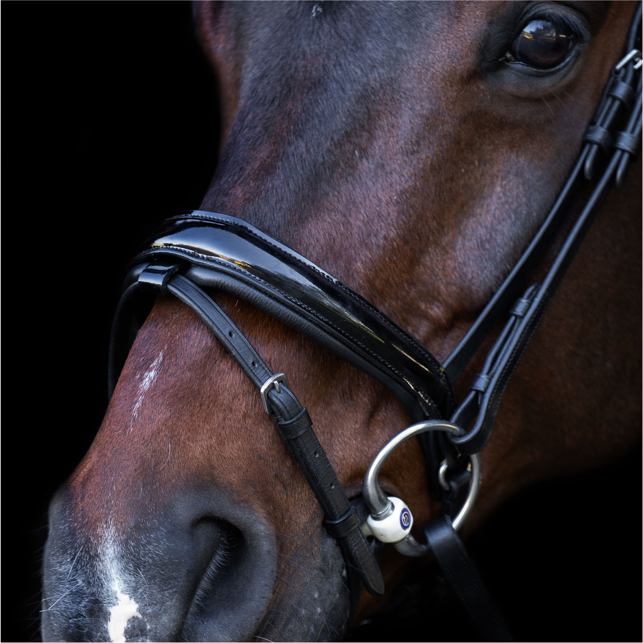 Trensenzaum mit englischem Nasenriemen IRH schwarz-crystal 