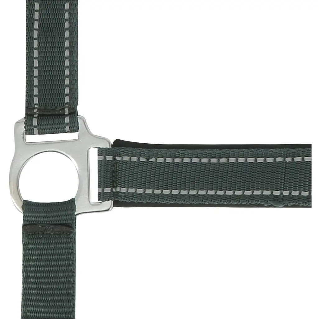 Halfter REFLECTIVE grün Halfter REFLECTIVE grün