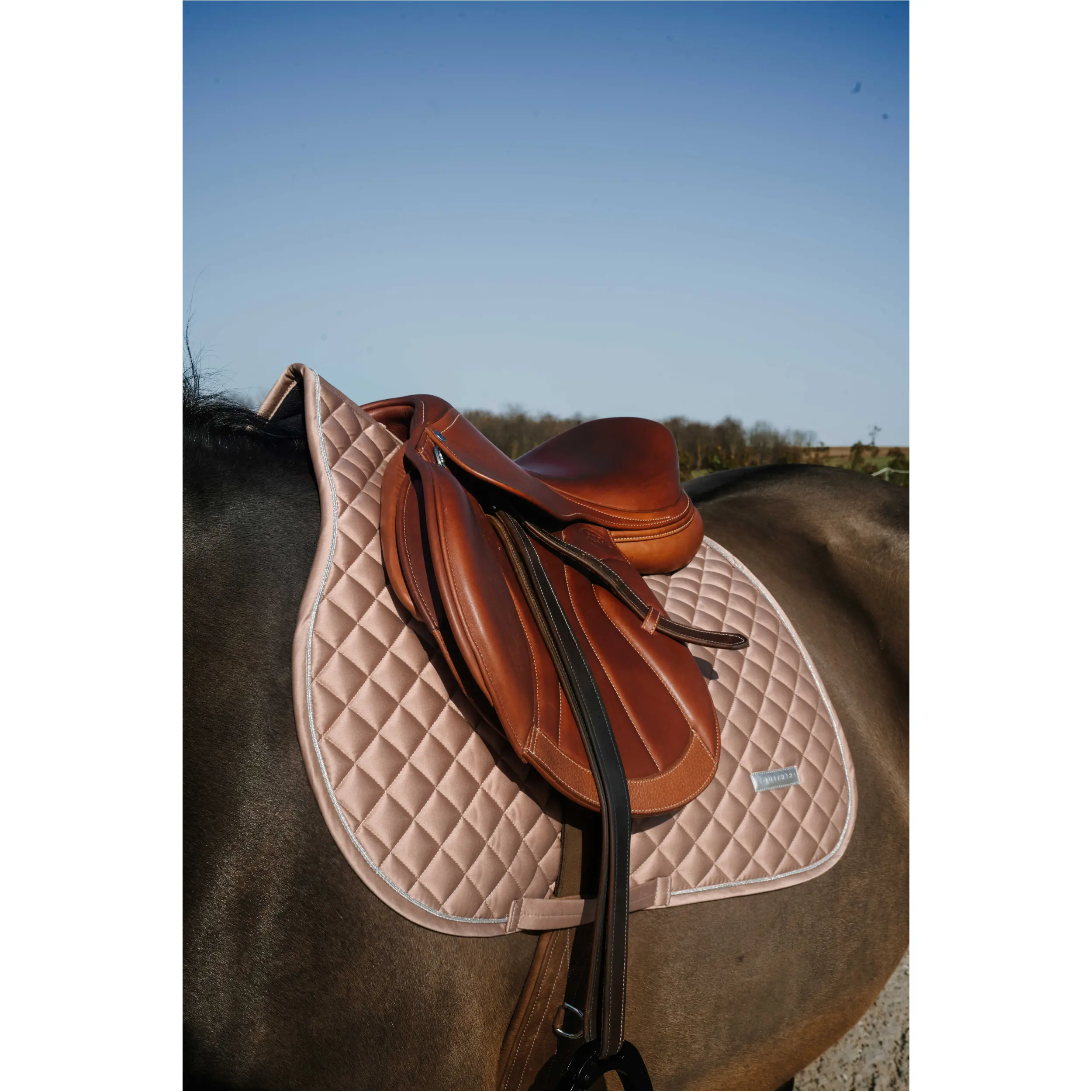 Schabracke NACRE bronze Warmblut Vielseitigkeit