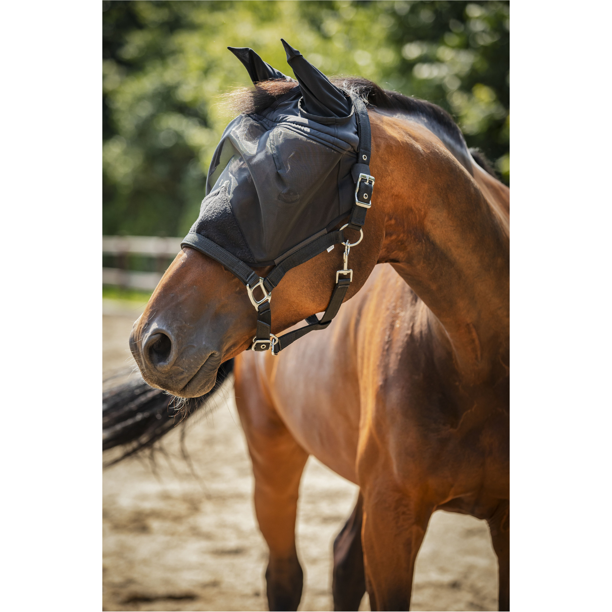 Halfter mit Fliegenmaske schwarz