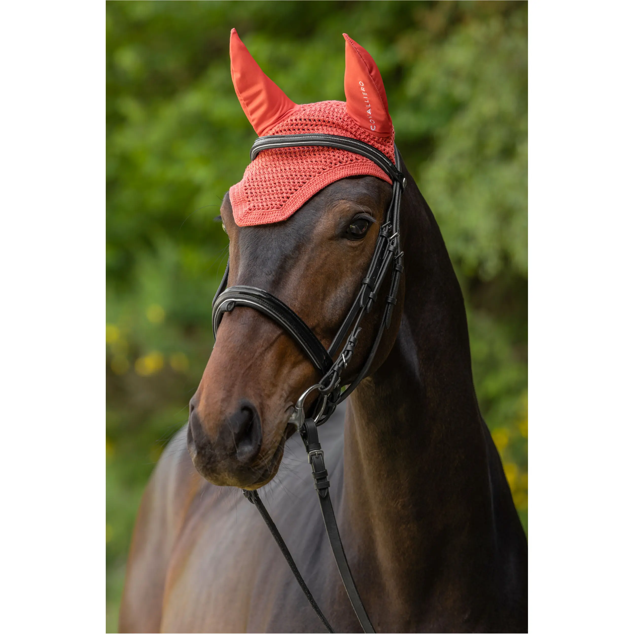 Fliegenhaube F/S 2025 coral