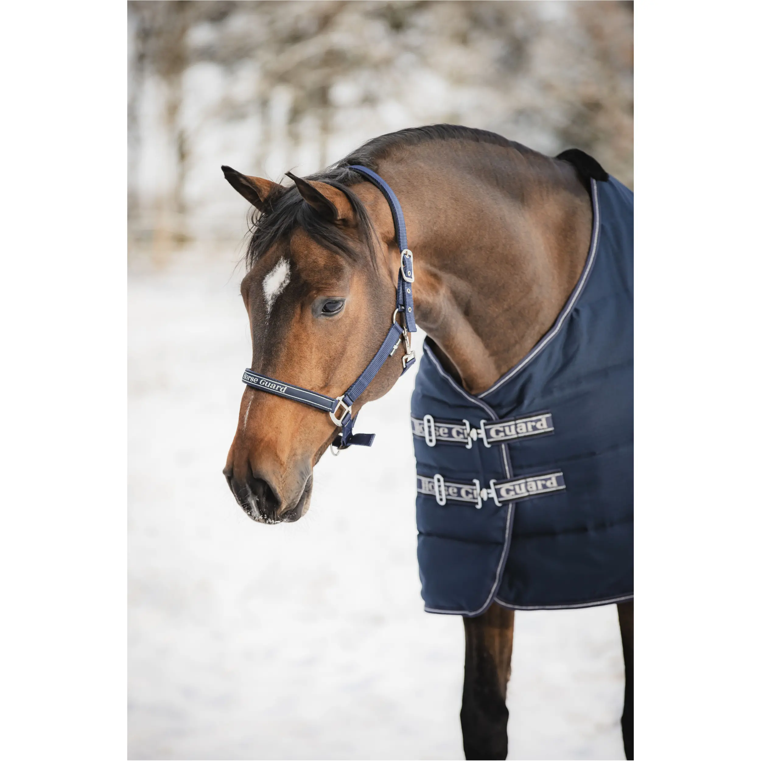 Stalldecke 100g Füllung SOPHIE navy Stalldecke 100g Füllung SOPHIE navy