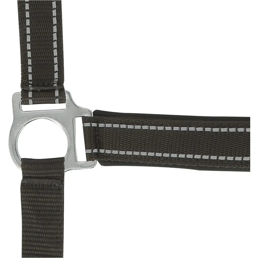 Halfter REFLECTIVE schoko Halfter REFLECTIVE schoko