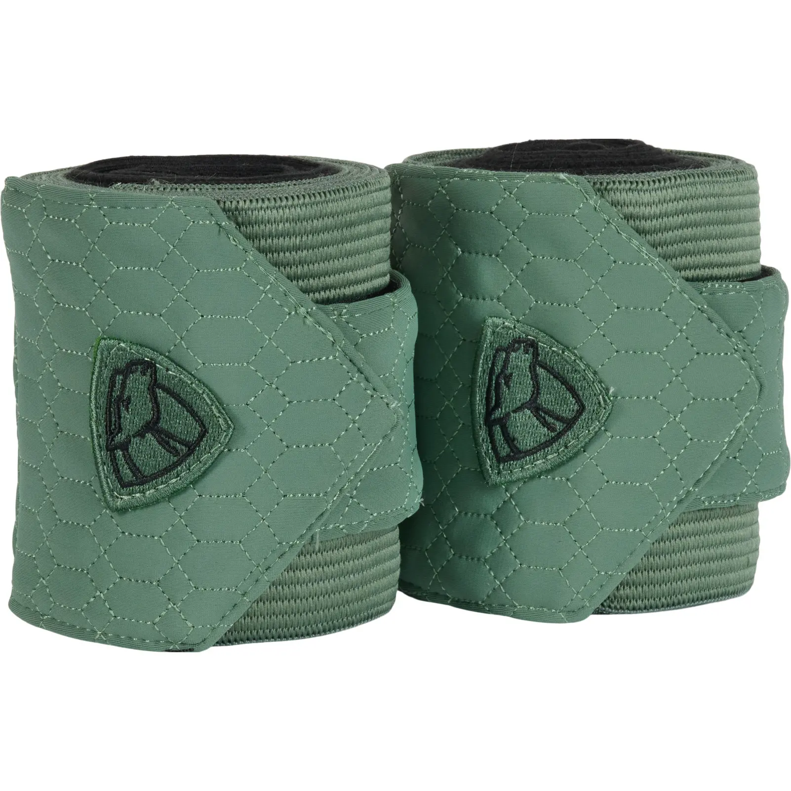 duck green