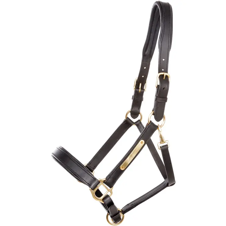 Lederhalfter Soft CINTA schwarz