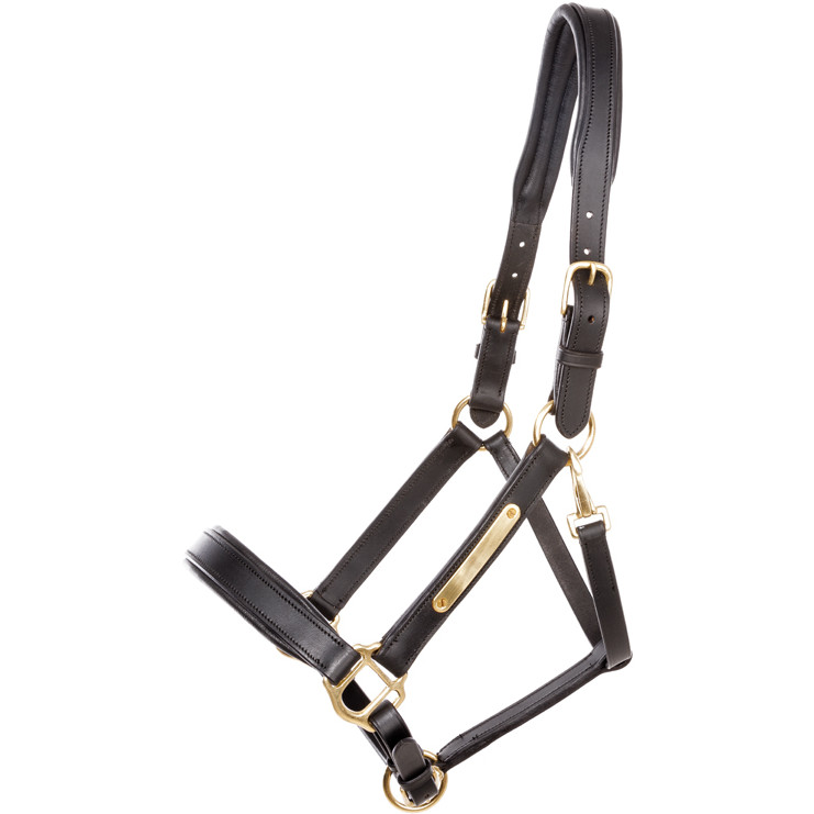 Lederhalfter Soft CINTA schwarz