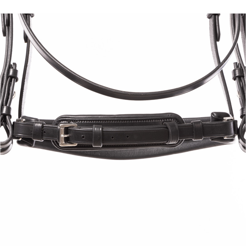 Kandarenzaum mit schwedischen Reithalfter SELINA schwarz lack/schwarz