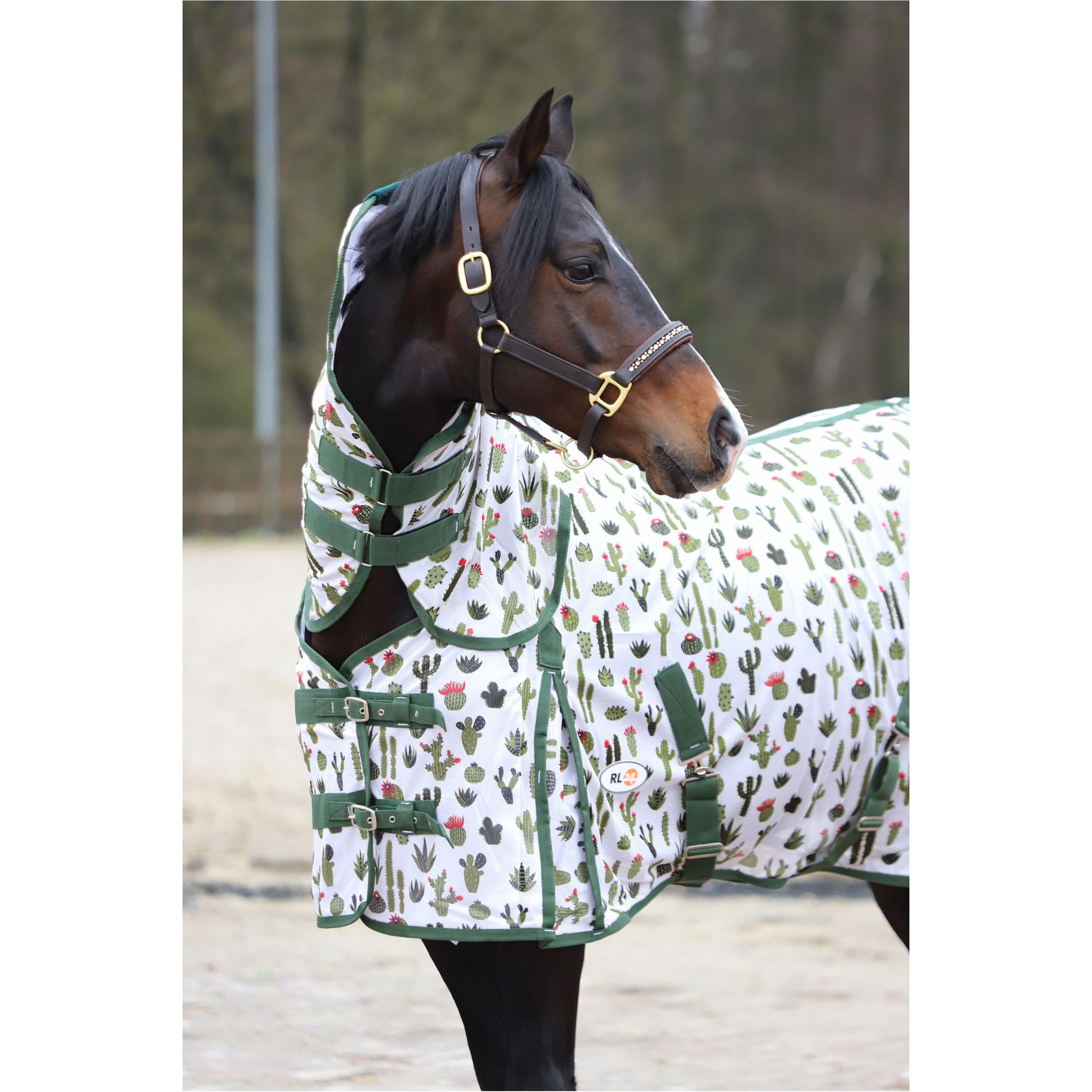 Fliegendecke mit Halsteil und Kreuzgurt DESIGN Kaktus weiß/grün