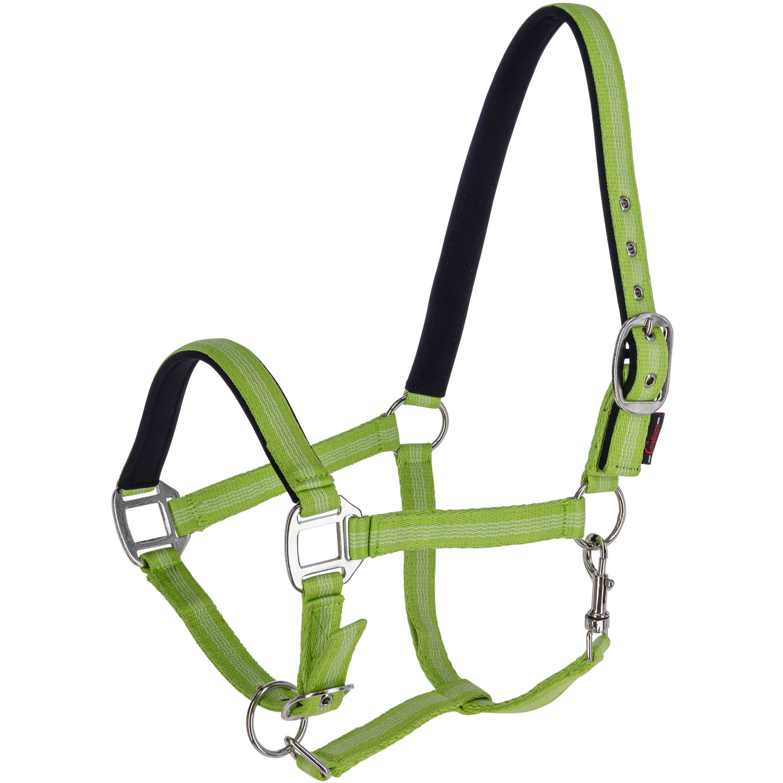 Halfter MUSTANG grün Halfter MUSTANG grün