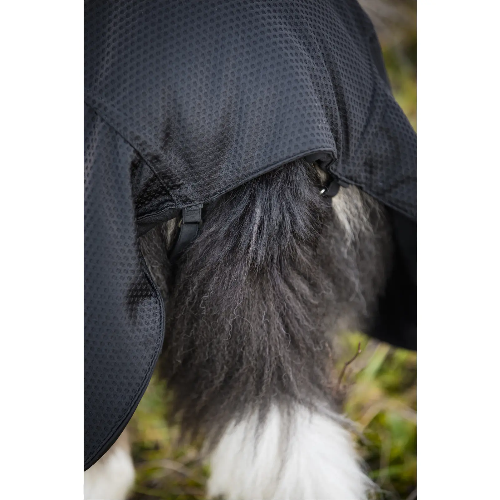Hundedecke FIR-Tech schwarz Hundedecke FIR-Tech schwarz