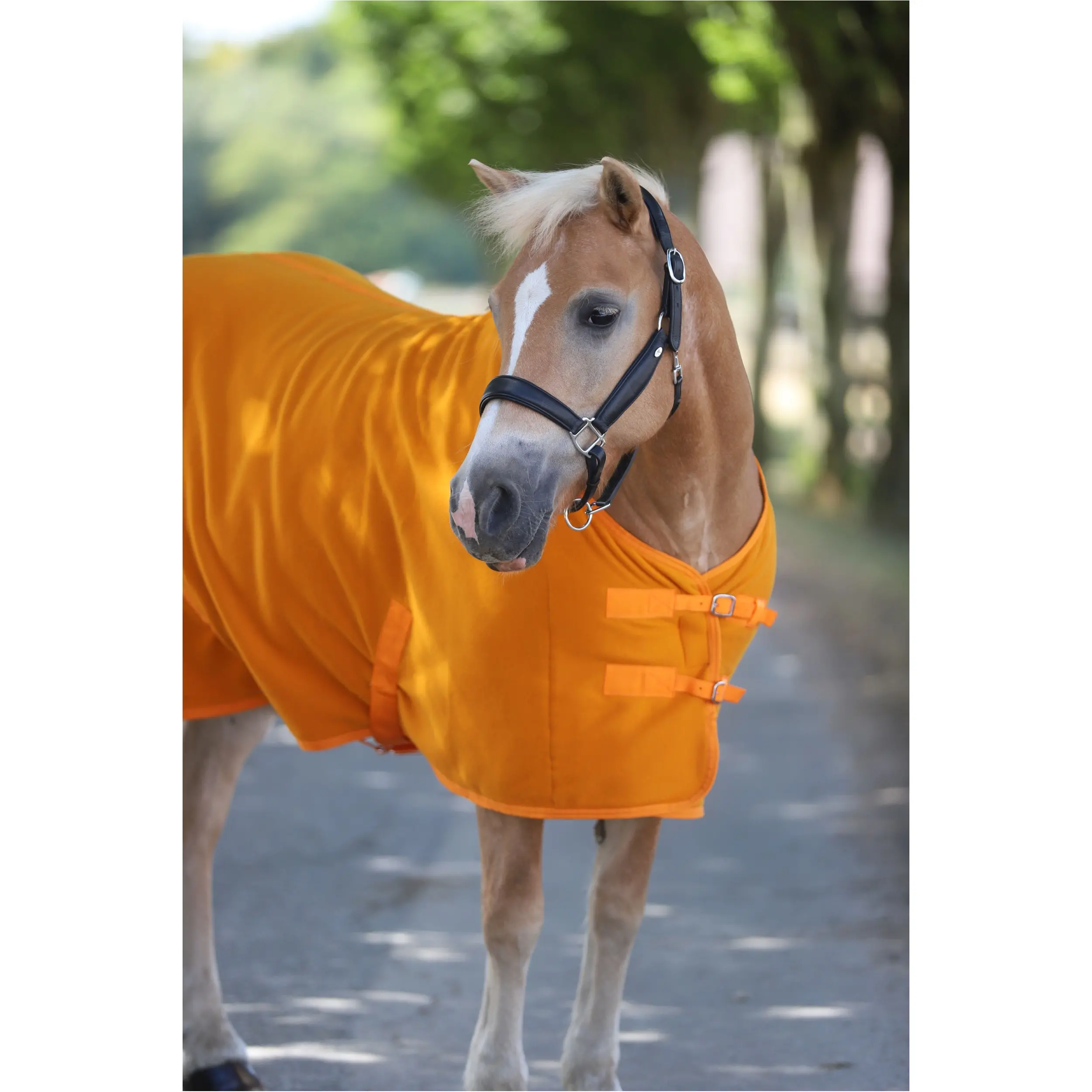 Abschwitzdecke mit Kreuzgurt BASICLINE rost Abschwitzdecke mit Kreuzgurt BASICLINE rost