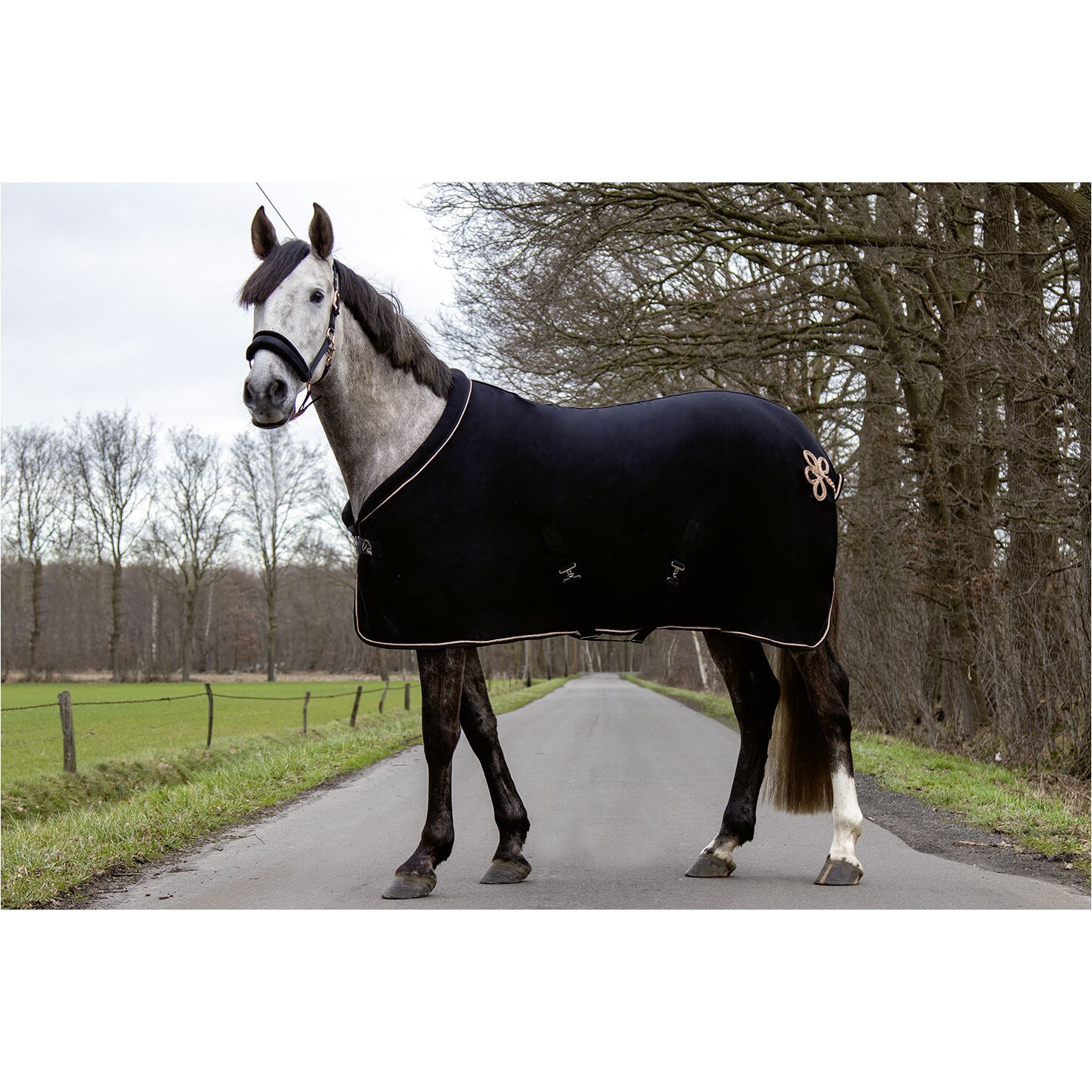Abschwitzdecke ROSEGOLD GLAMOUR STYLE schwarz/rosegold