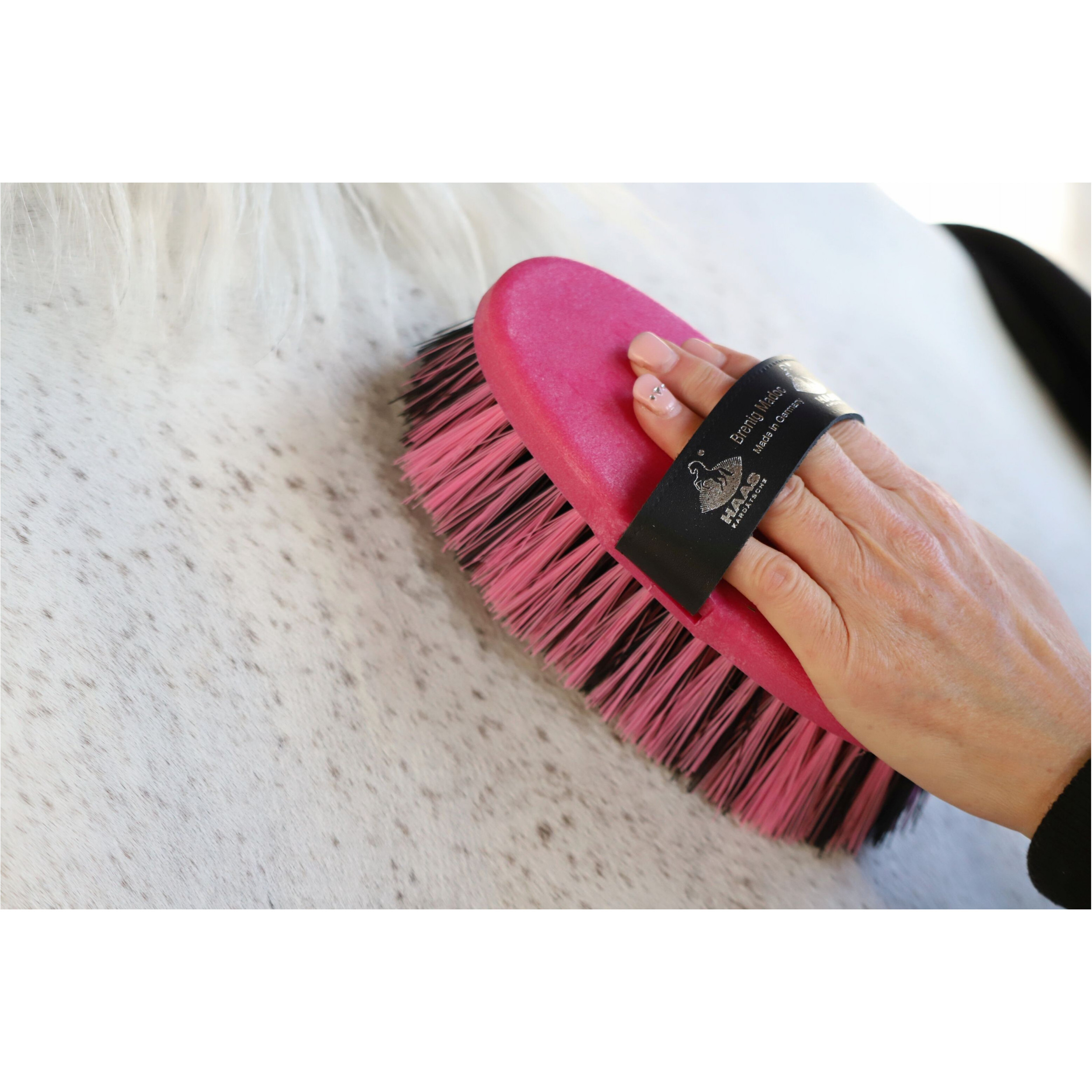 Kardätsche BRENIG MADOC fuchsia