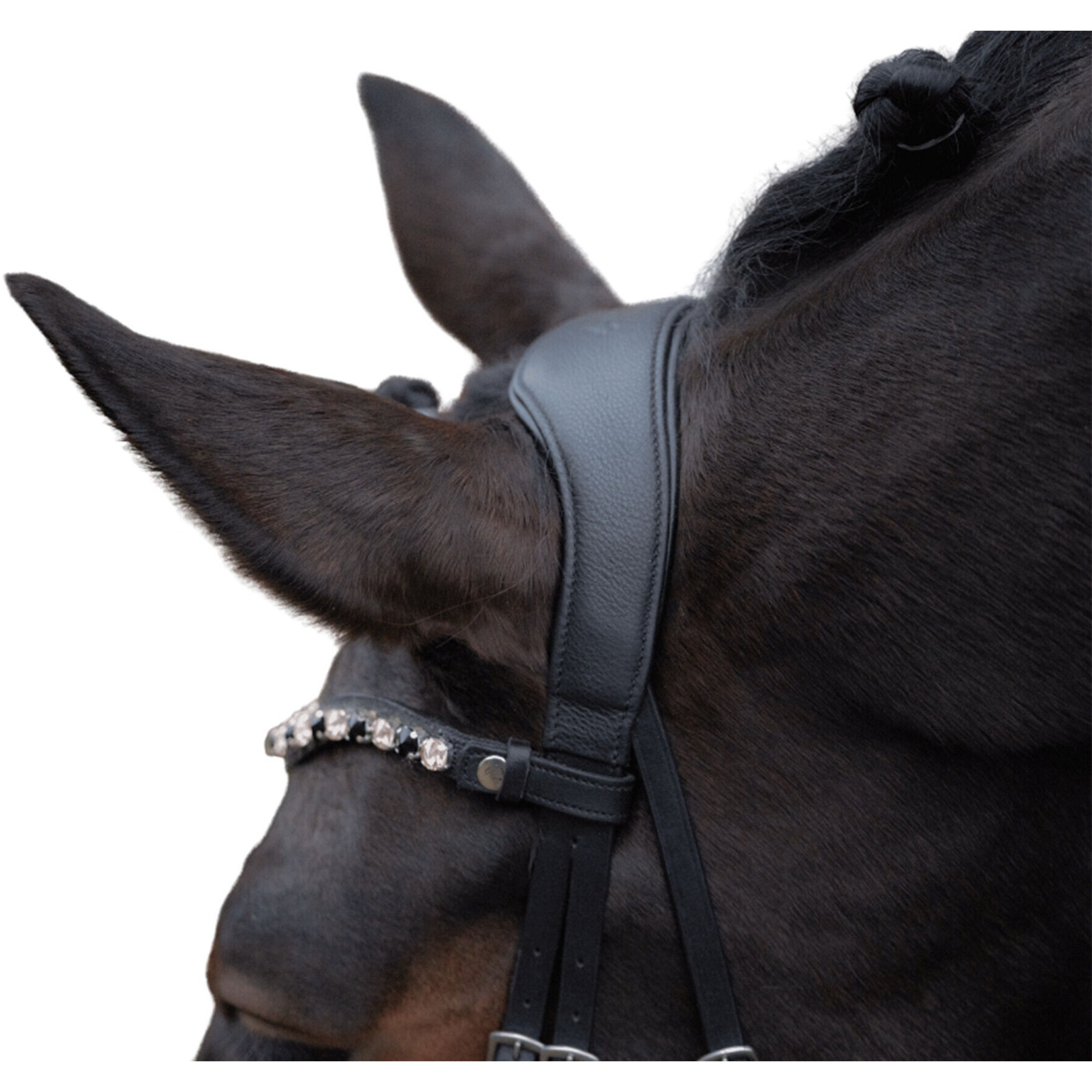 Trensenzaum anatomisch mit schwedischem Reithalfter MILA schwarz Trensenzaum anatomisch mit schwedischem Reithalfter MILA schwarz