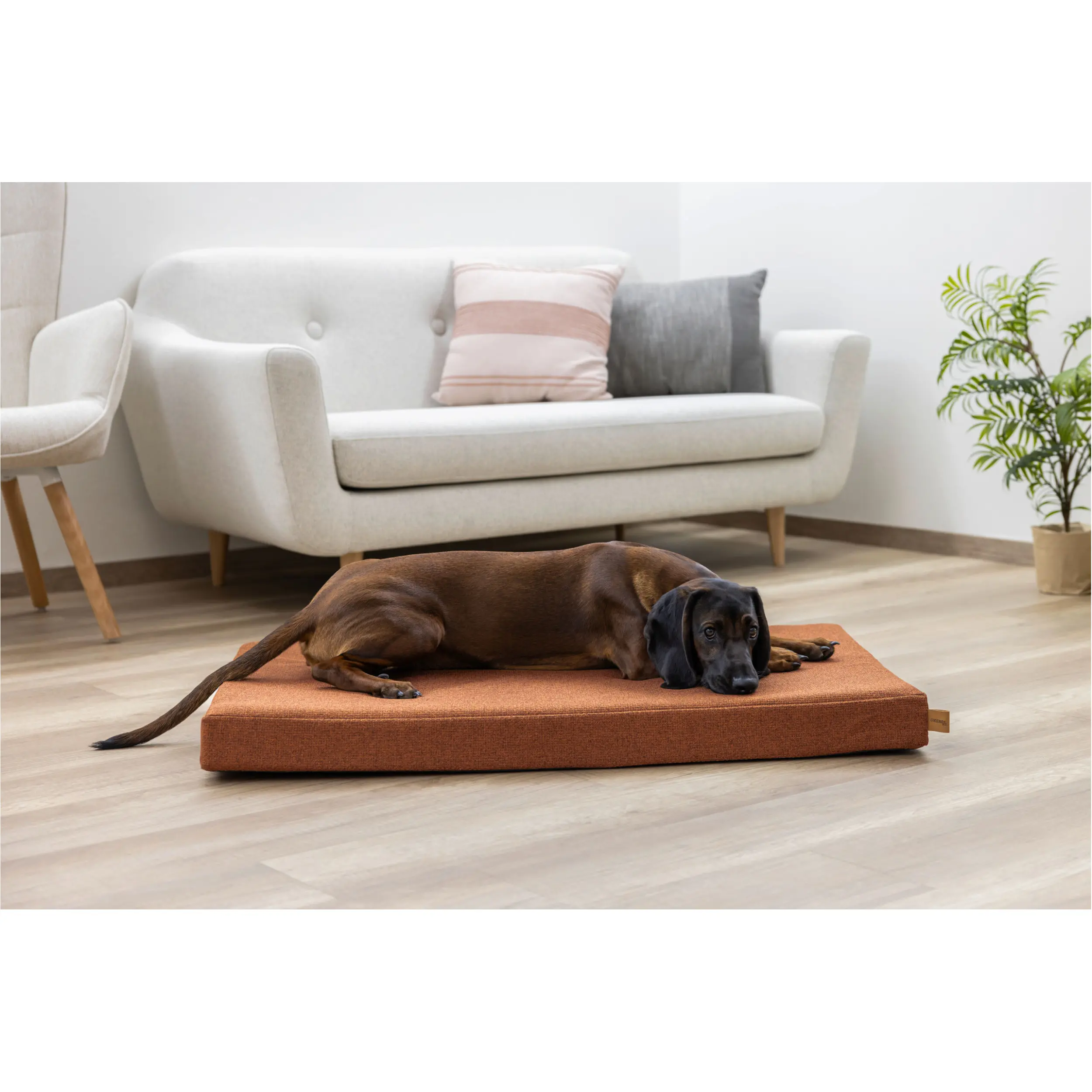 Matratze OLIVER mit Memory Foam rost