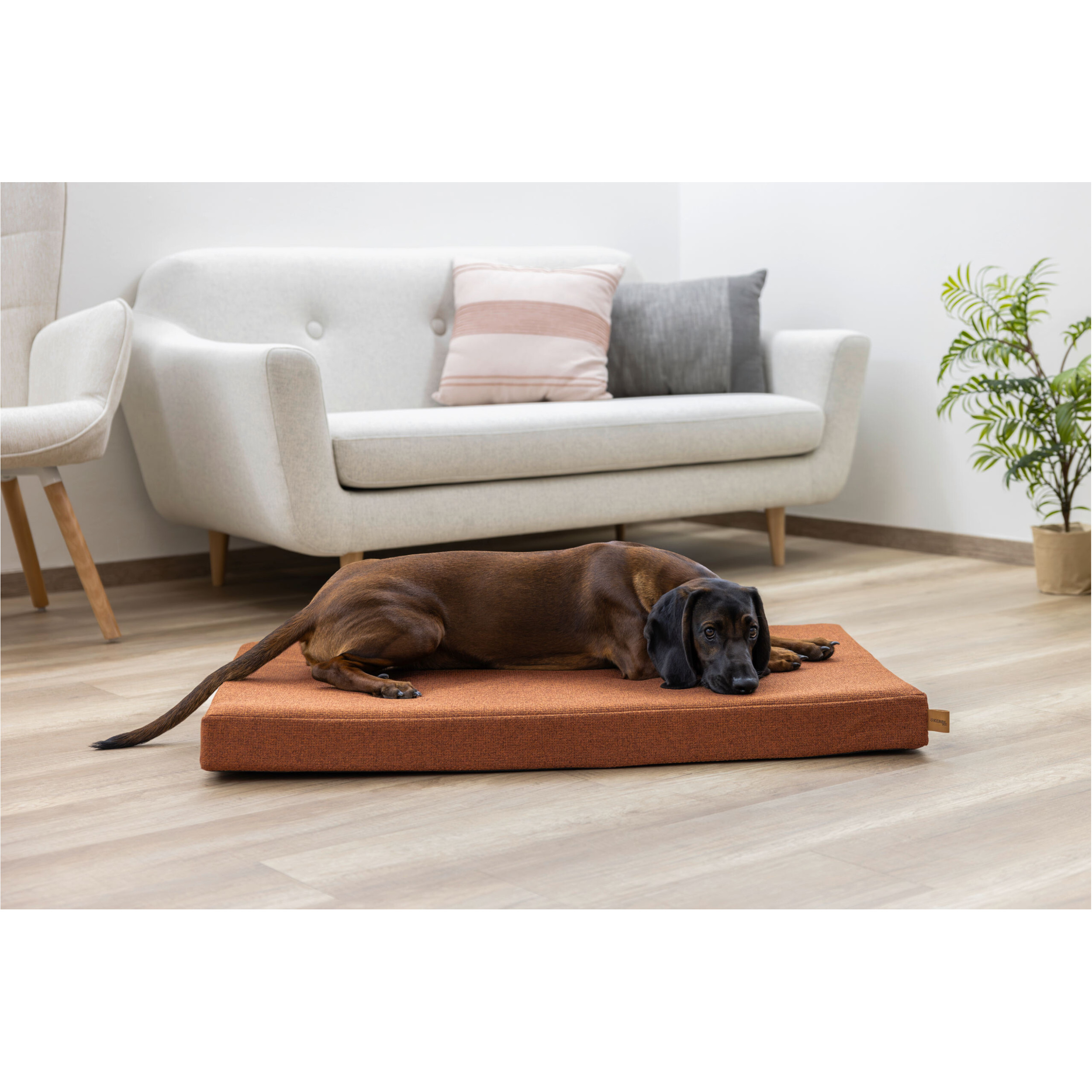 Matratze OLIVER mit Memory Foam rost Matratze OLIVER mit Memory Foam rost