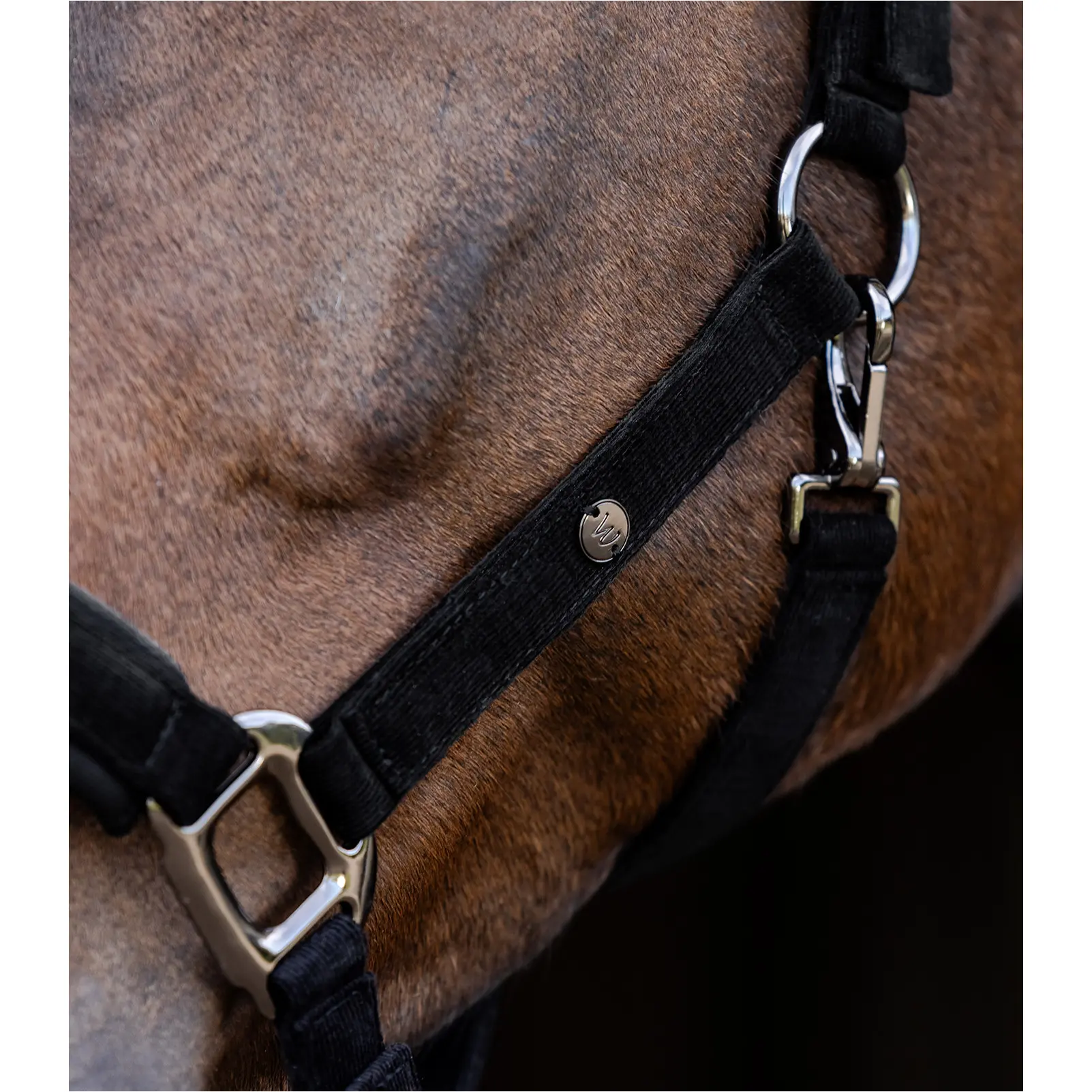 Halfter ST. GALLEN schwarz Halfter ST. GALLEN schwarz