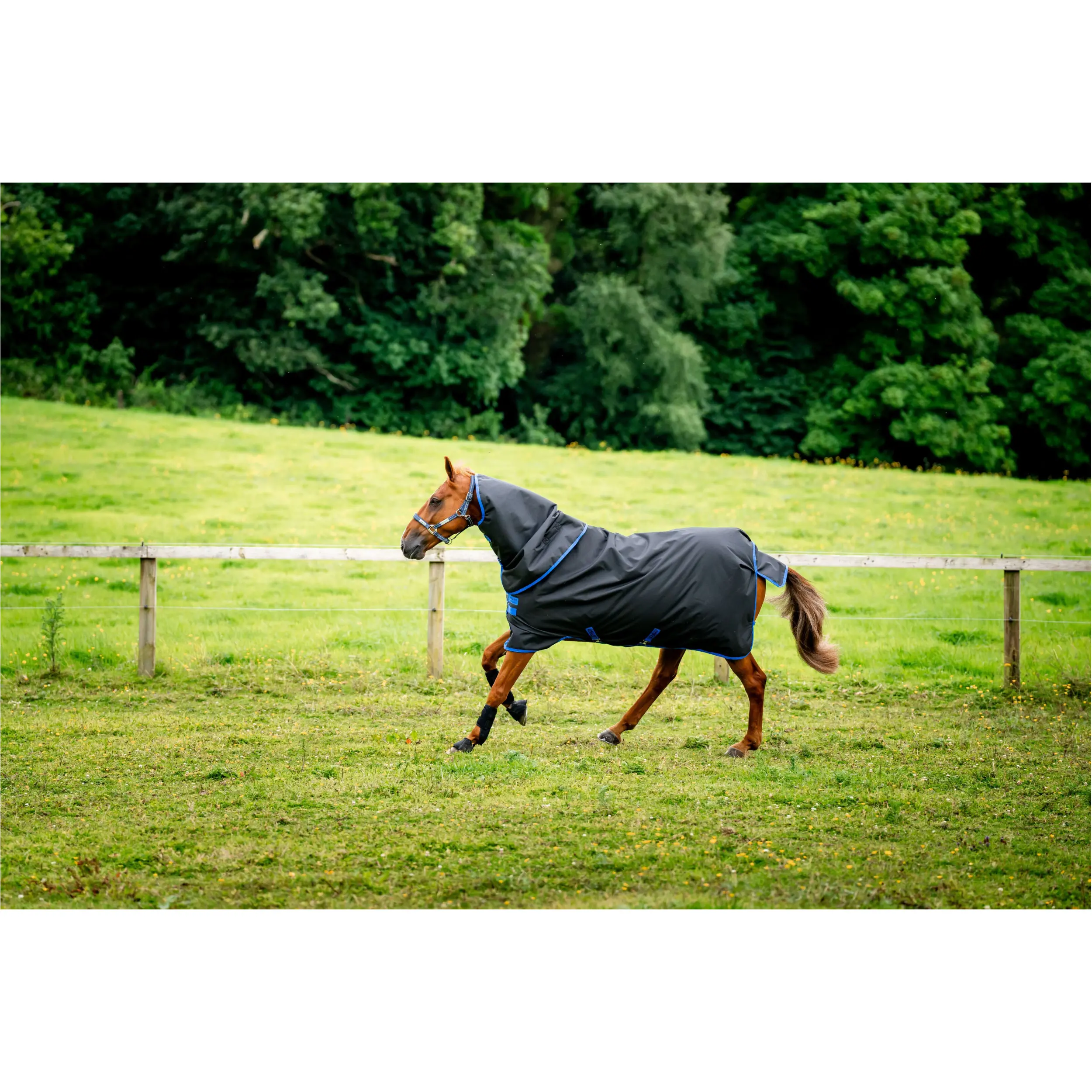 Outdoordecke Halsteil (abnehmbar) 100g Füllung 900D AMIGO Ripstop Plus Turnout black/classic blue