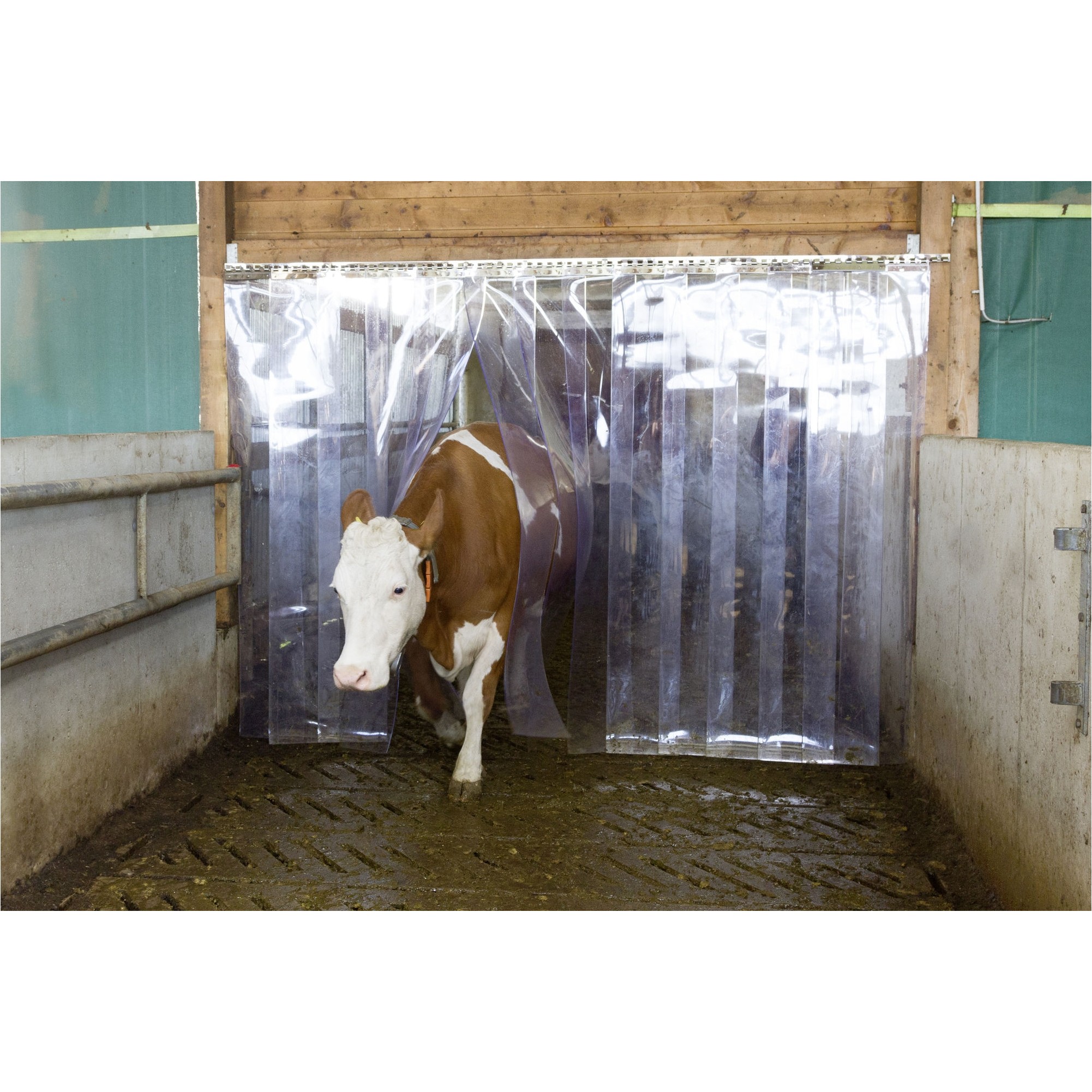 PVC-Streifenvorhang transparent 130x225cm 
