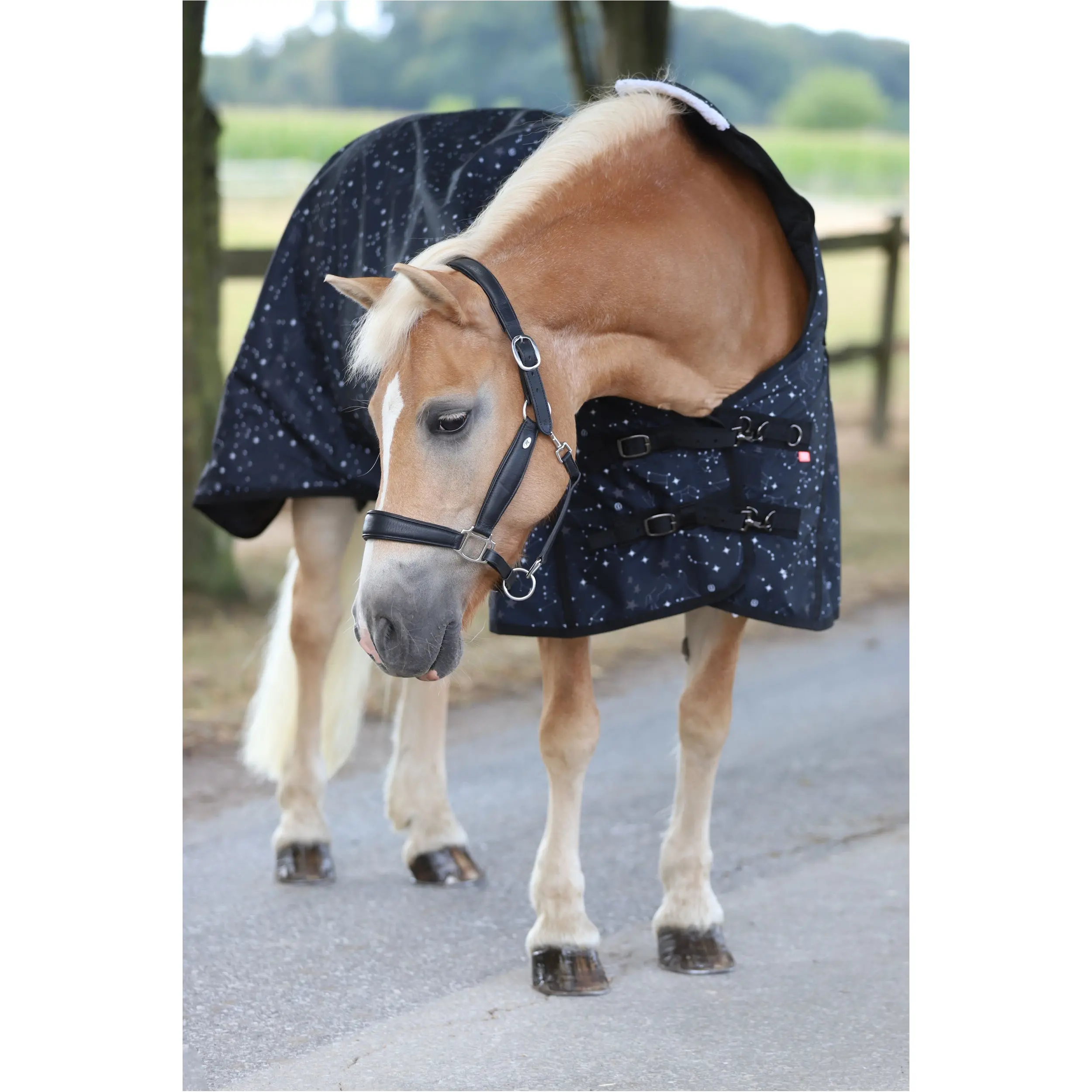 Outdoordecke 50g Füllung 600D IRHSuper-dry STARDUST black Outdoordecke 50g Füllung 600D IRHSuper-dry STARDUST black