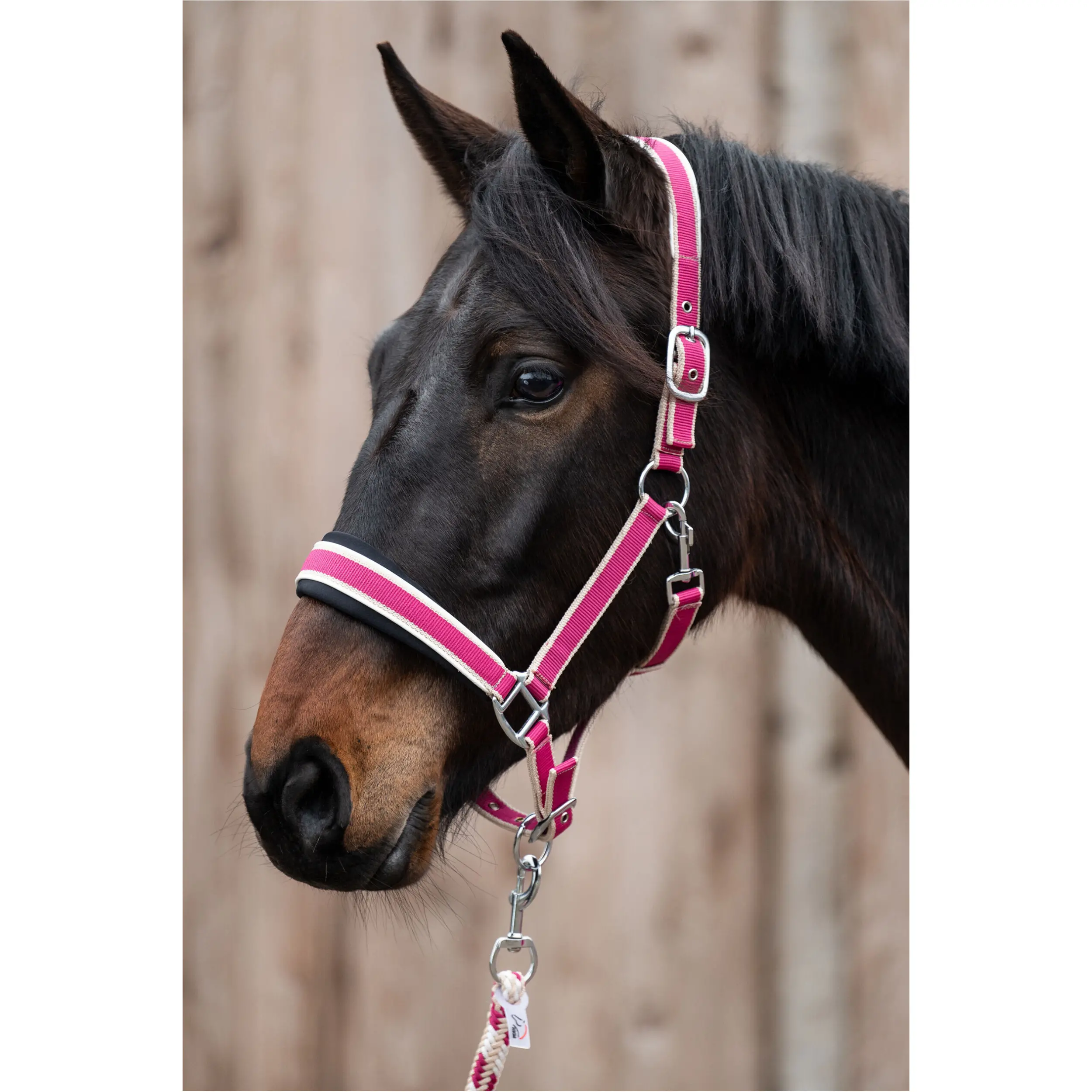 Halfter Set mit Karabinerhaken KOPENHAGEN magenta