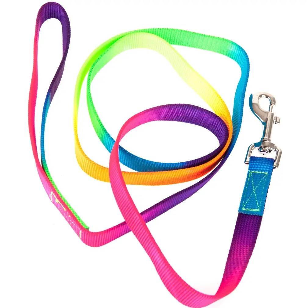 Führstrick mit Karabinerhaken REGENBOGEN neon multicolor 180cm