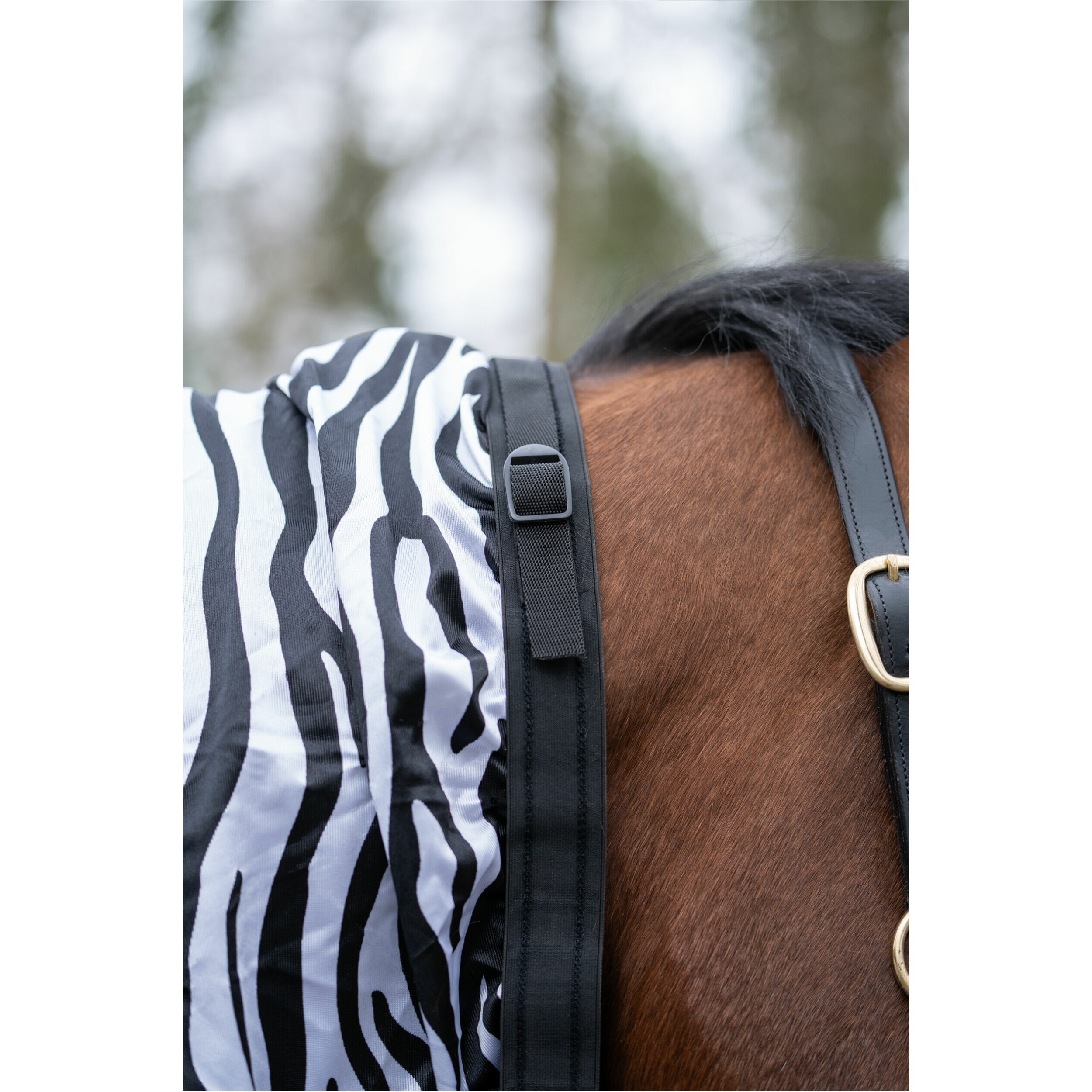 Ekzemerdecke ZEBRA weiß/schwarz